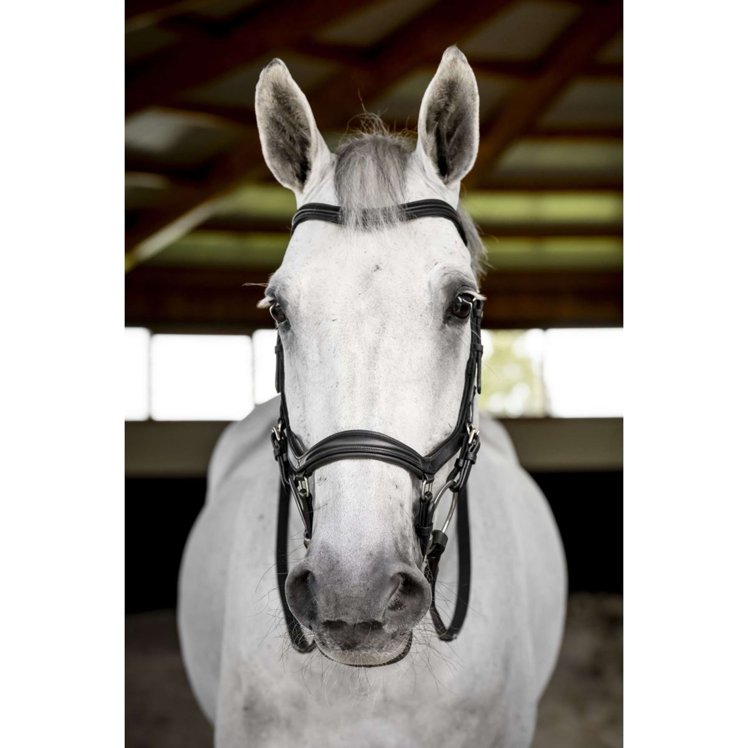 Horseware Micklem Deluxe Competition Bridle Black