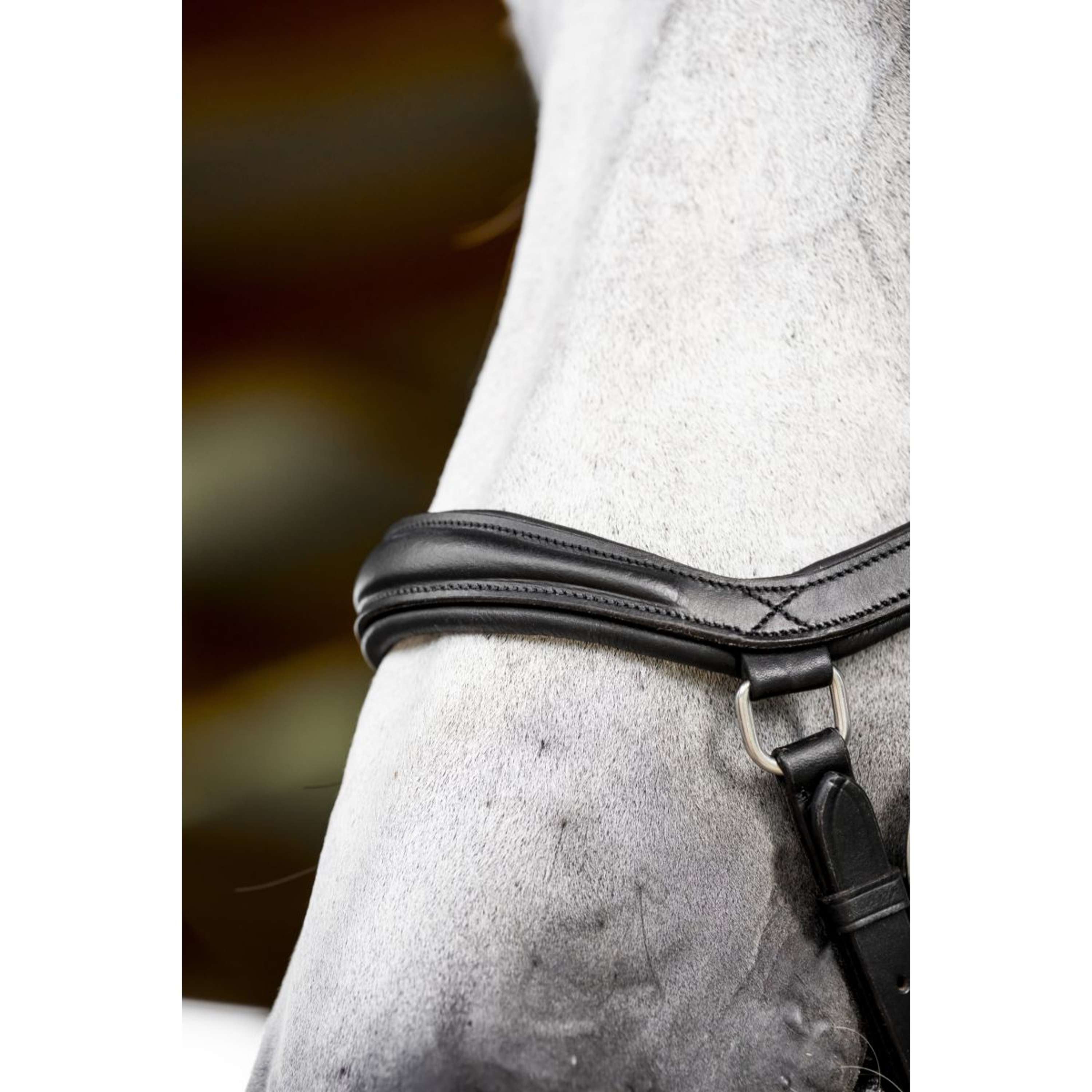 Horseware Micklem Deluxe Competition Bridle Black