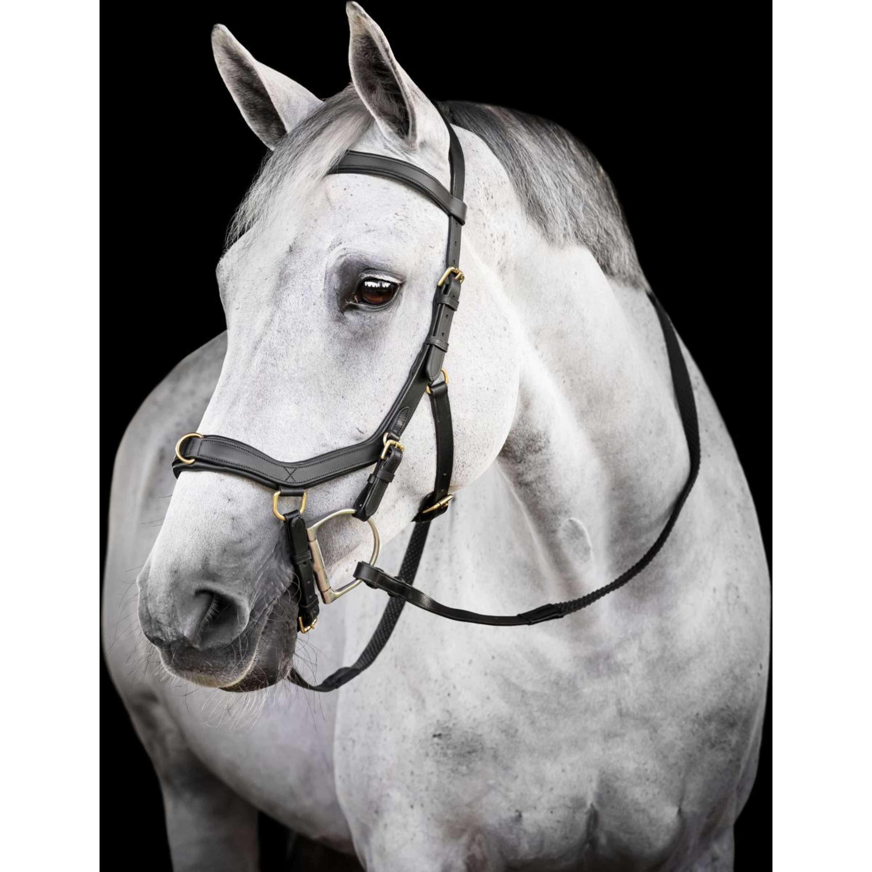 Horseware Micklem Multi Bridle Black