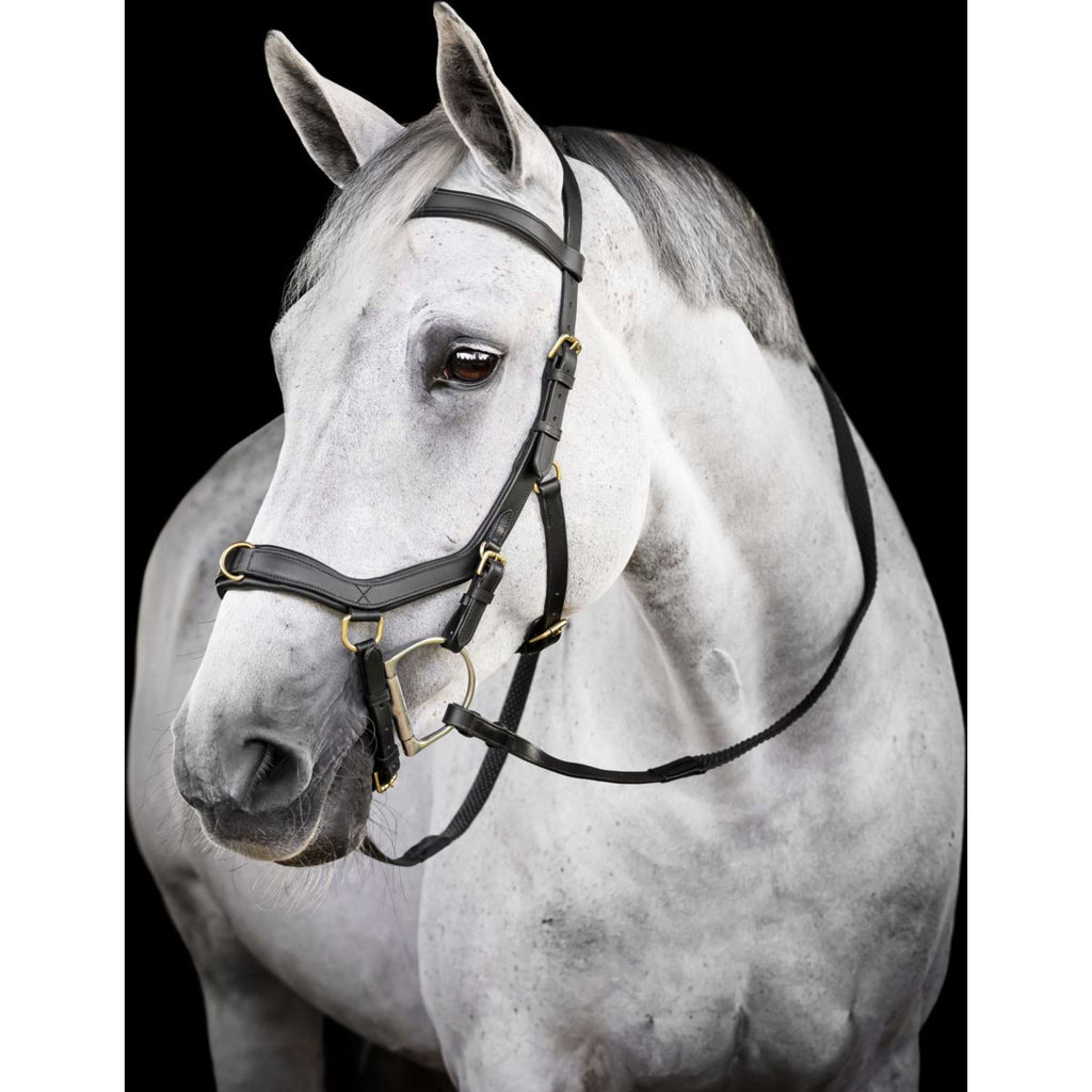 Horseware Micklem Multi Bridle Black