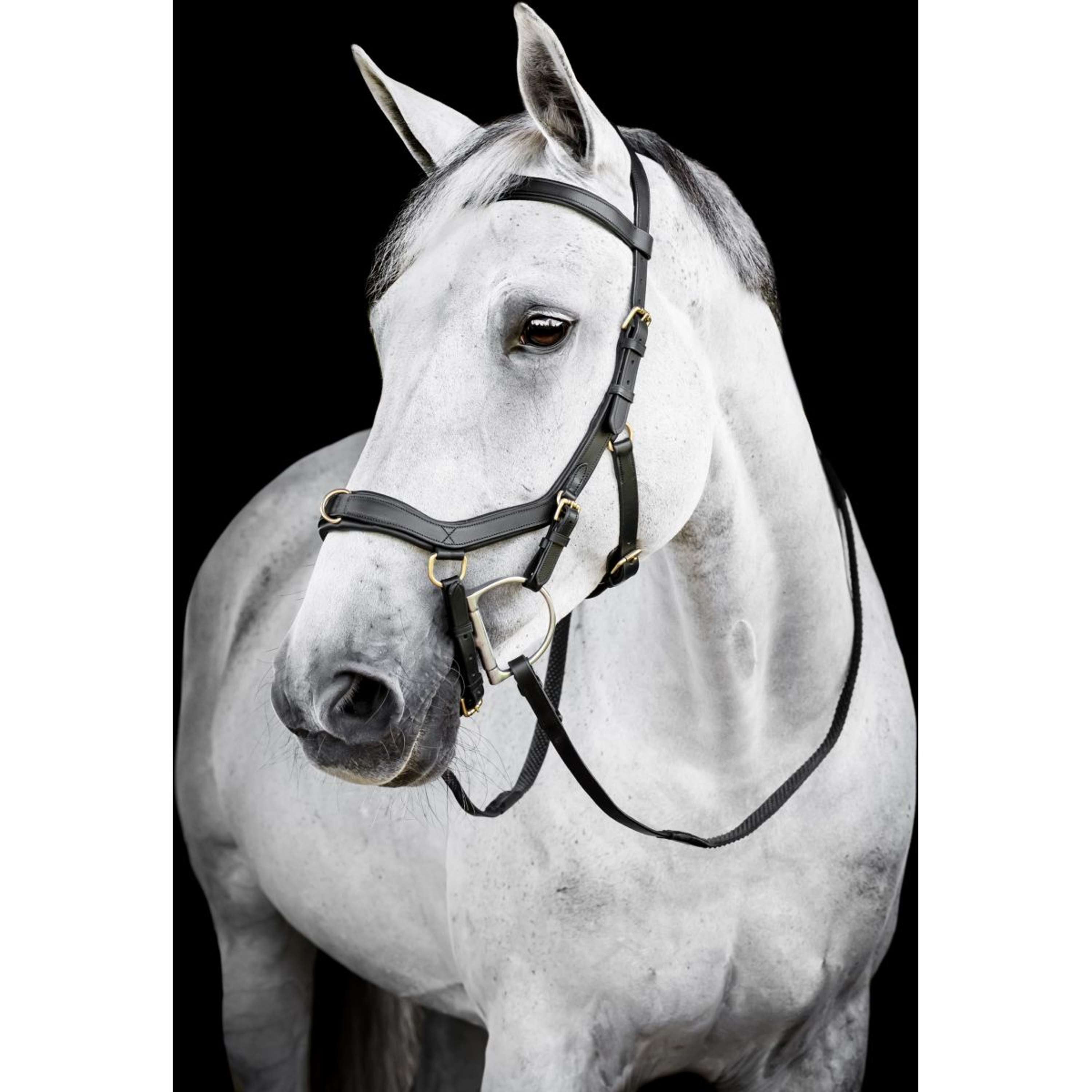 Horseware Micklem Multi Bridle Black