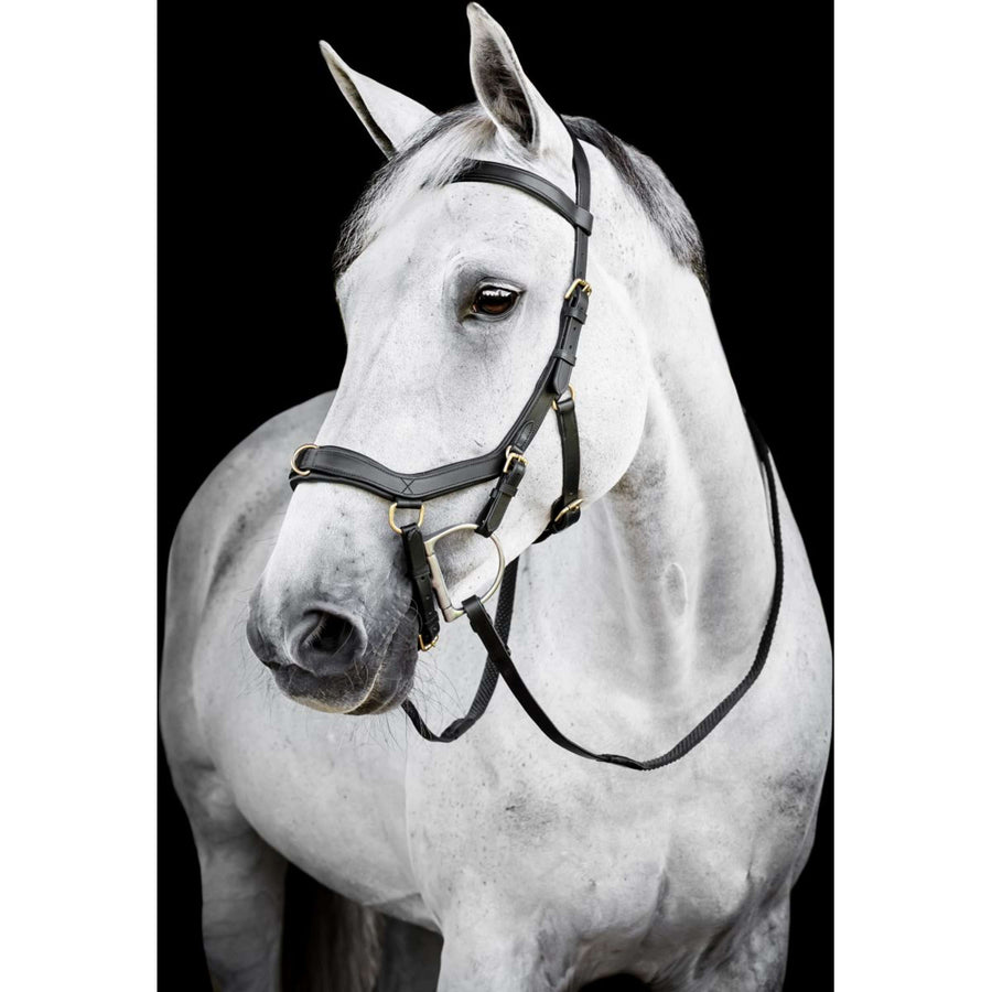 Horseware Micklem Multi Bridle Black