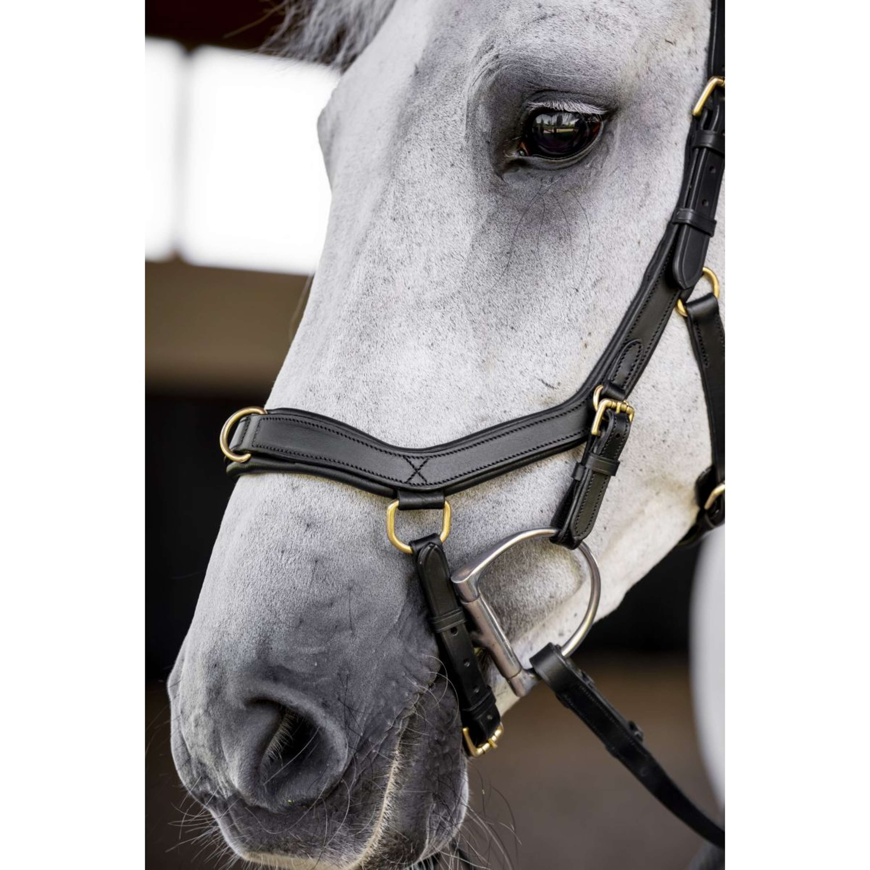 Horseware Micklem Multi Bridle Black