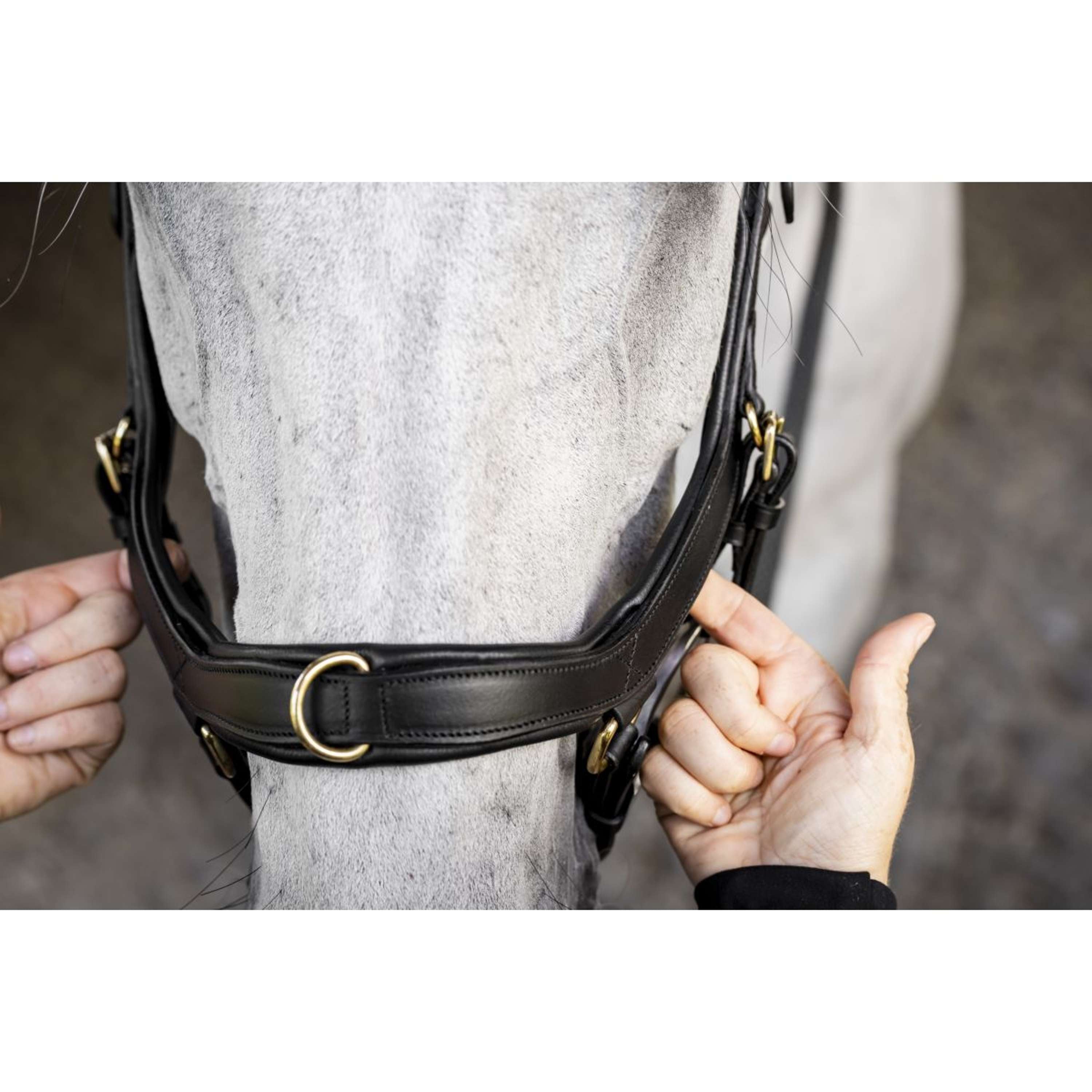 Horseware Micklem Multi Bridle Black