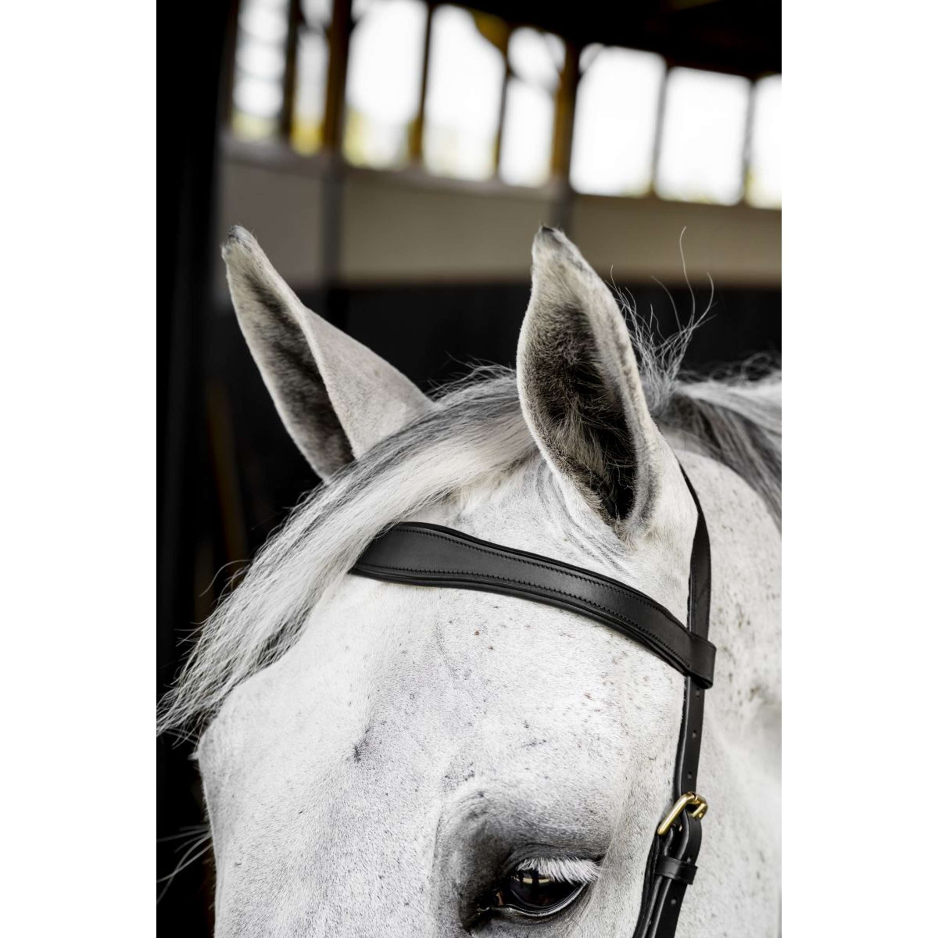 Horseware Micklem Multi Bridle Black