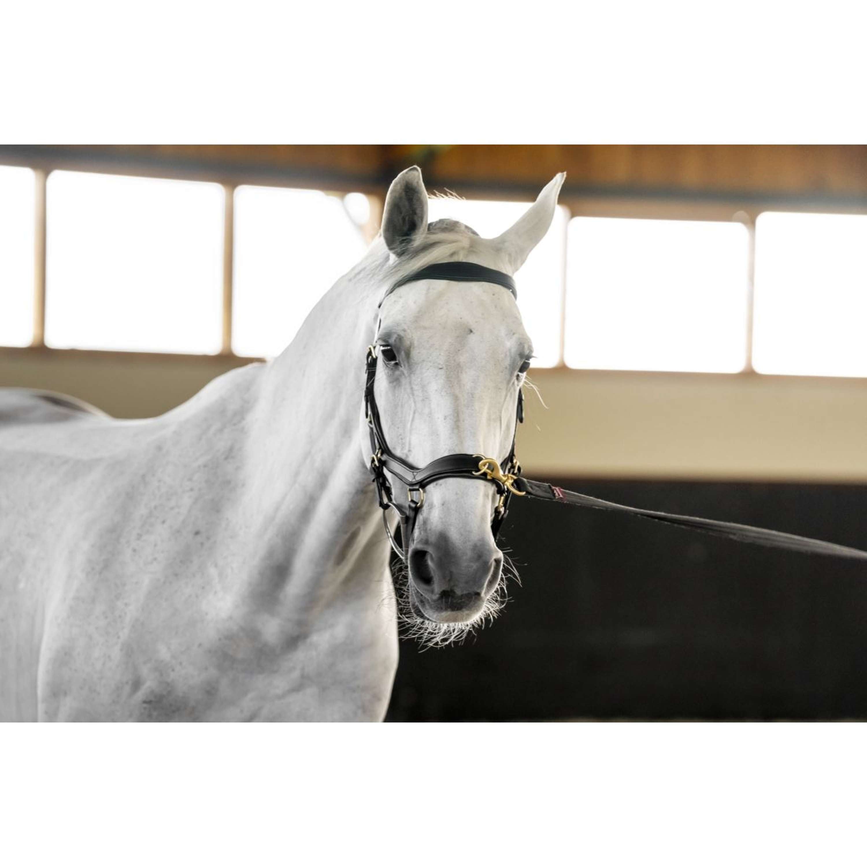 Horseware Micklem Multi Bridle Black