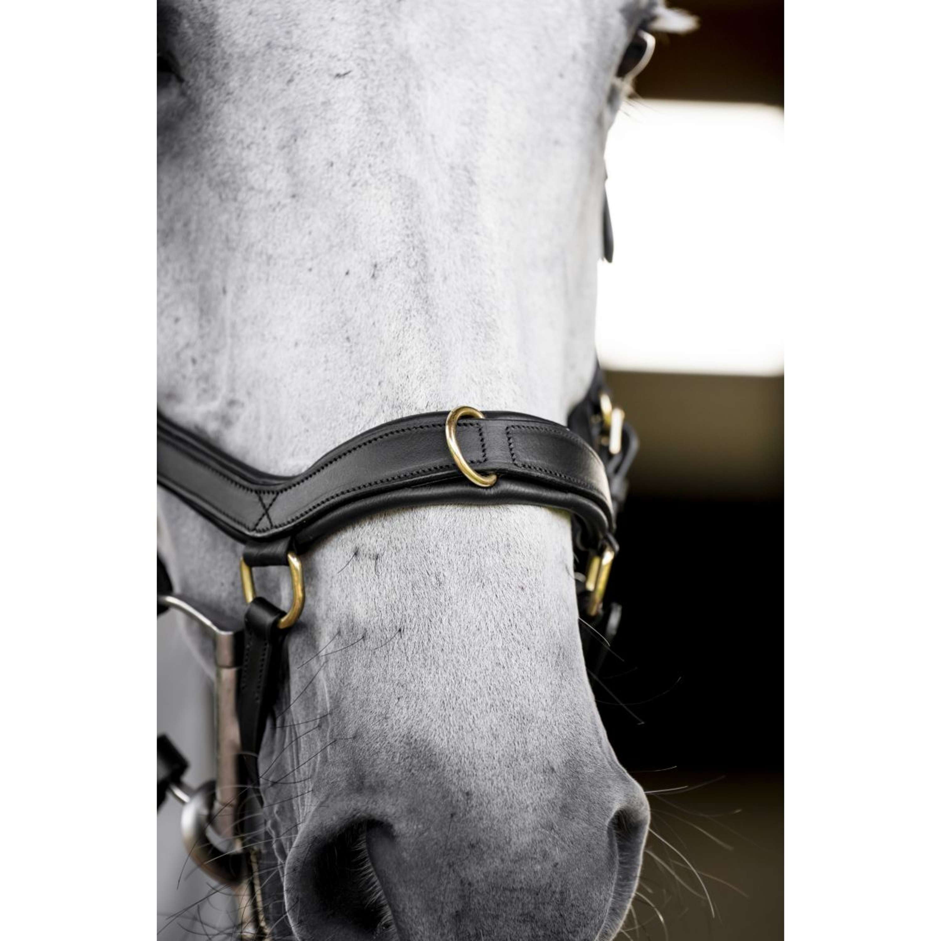 Horseware Micklem Multi Bridle Black