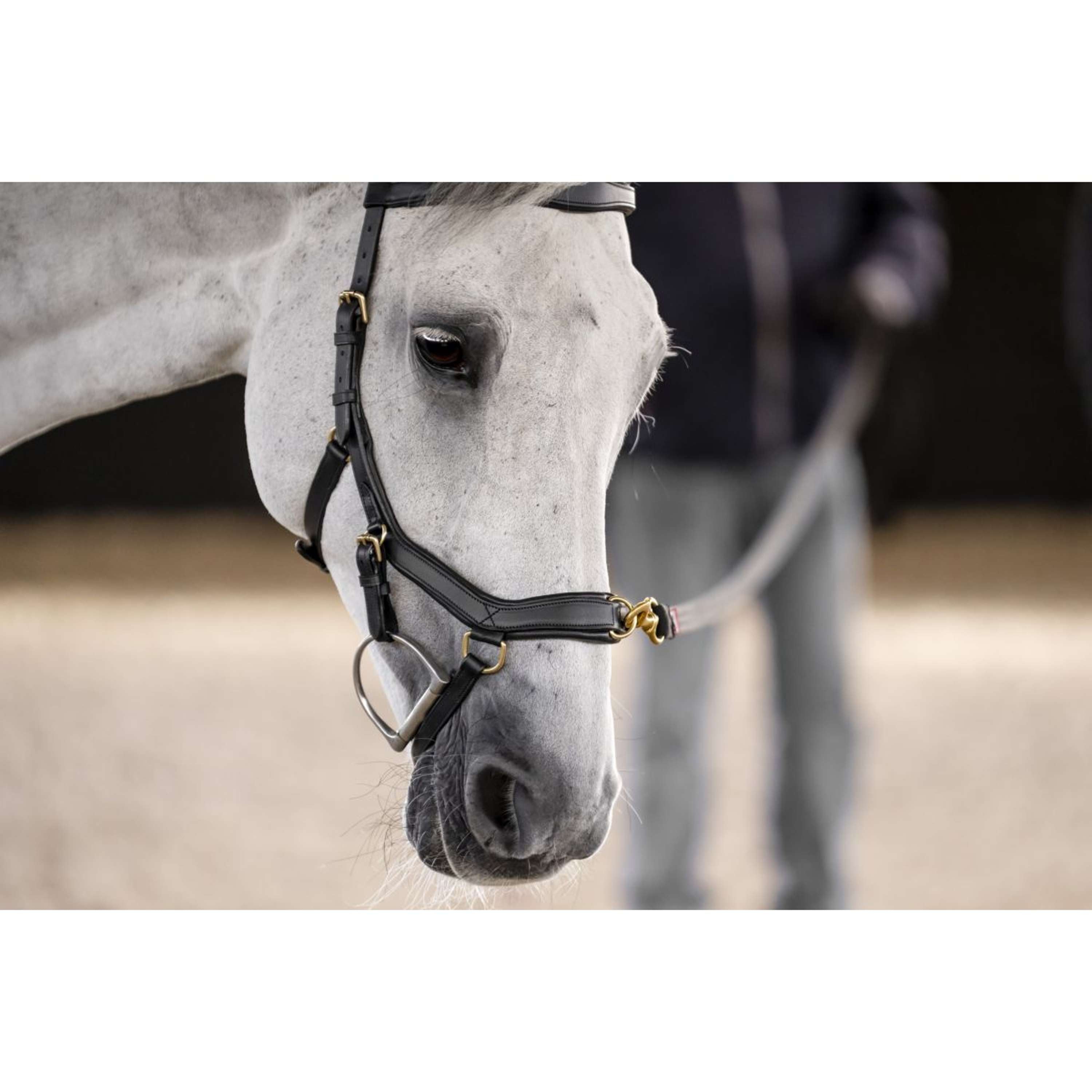 Horseware Micklem Multi Bridle Black