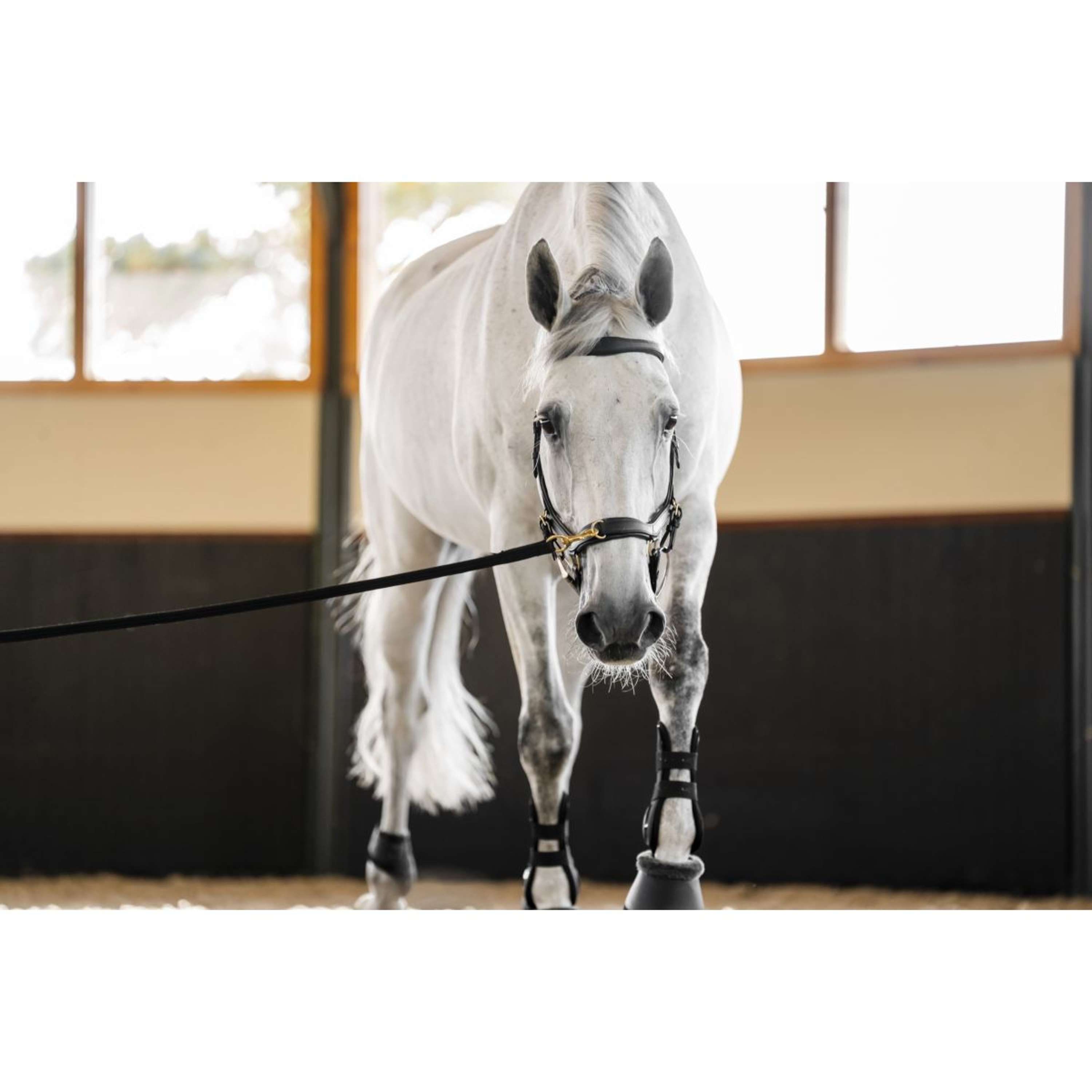 Horseware Micklem Multi Bridle Black