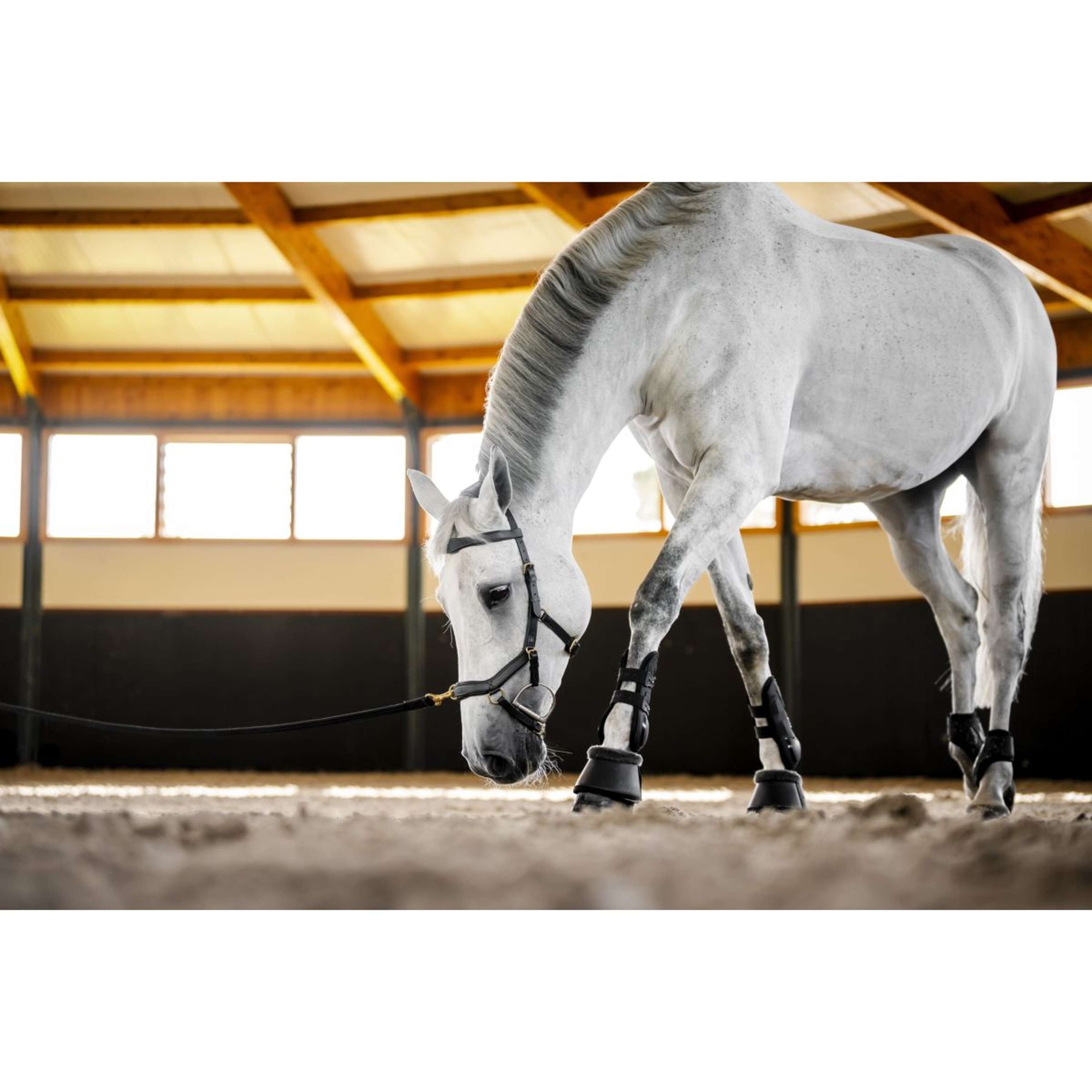 Horseware Micklem Multi Bridle Black