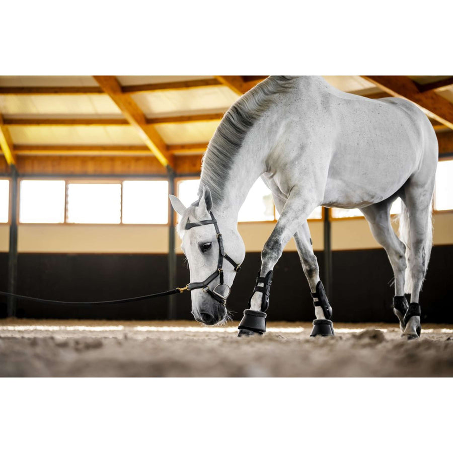Horseware Micklem Multi Bridle Black