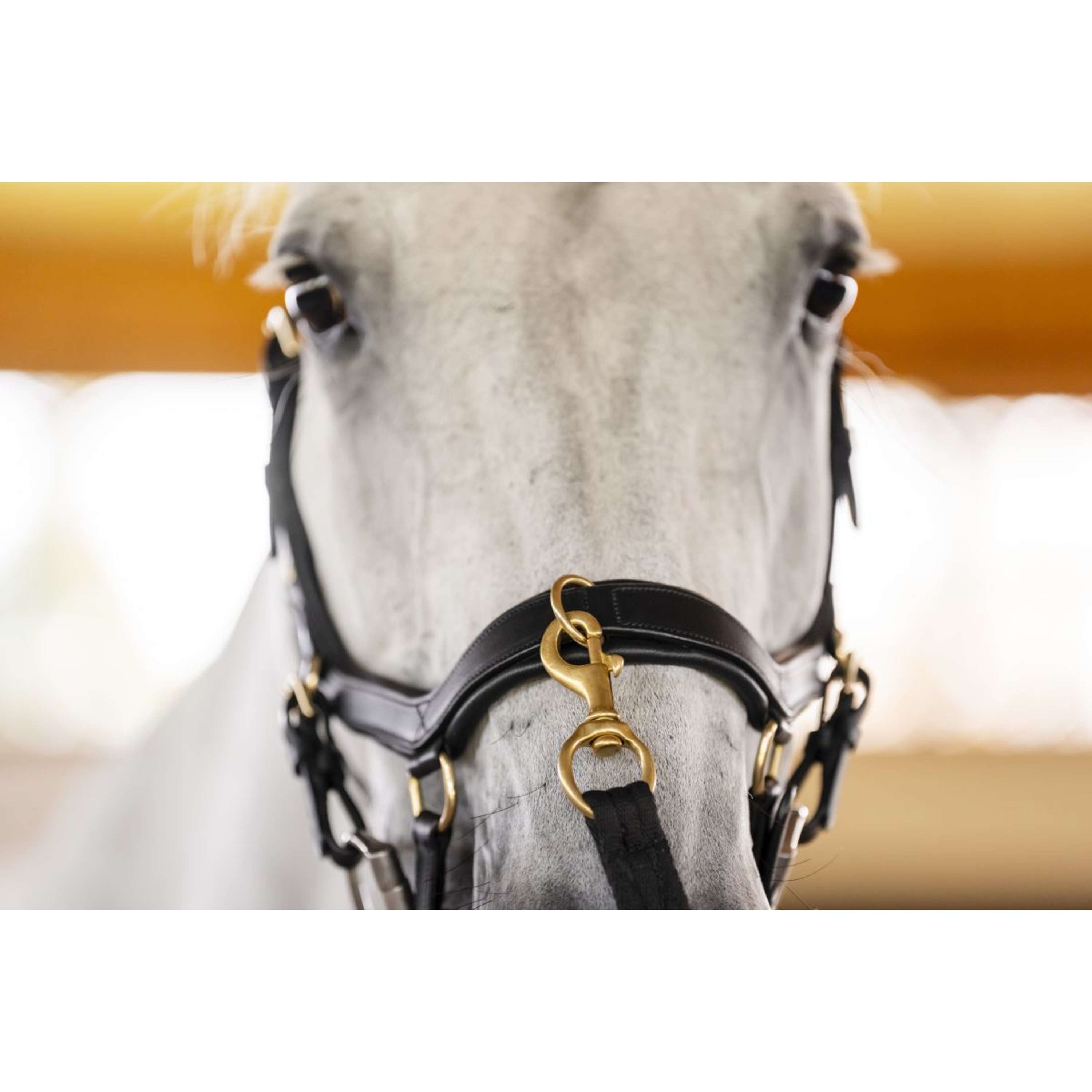 Horseware Micklem Multi Bridle Black