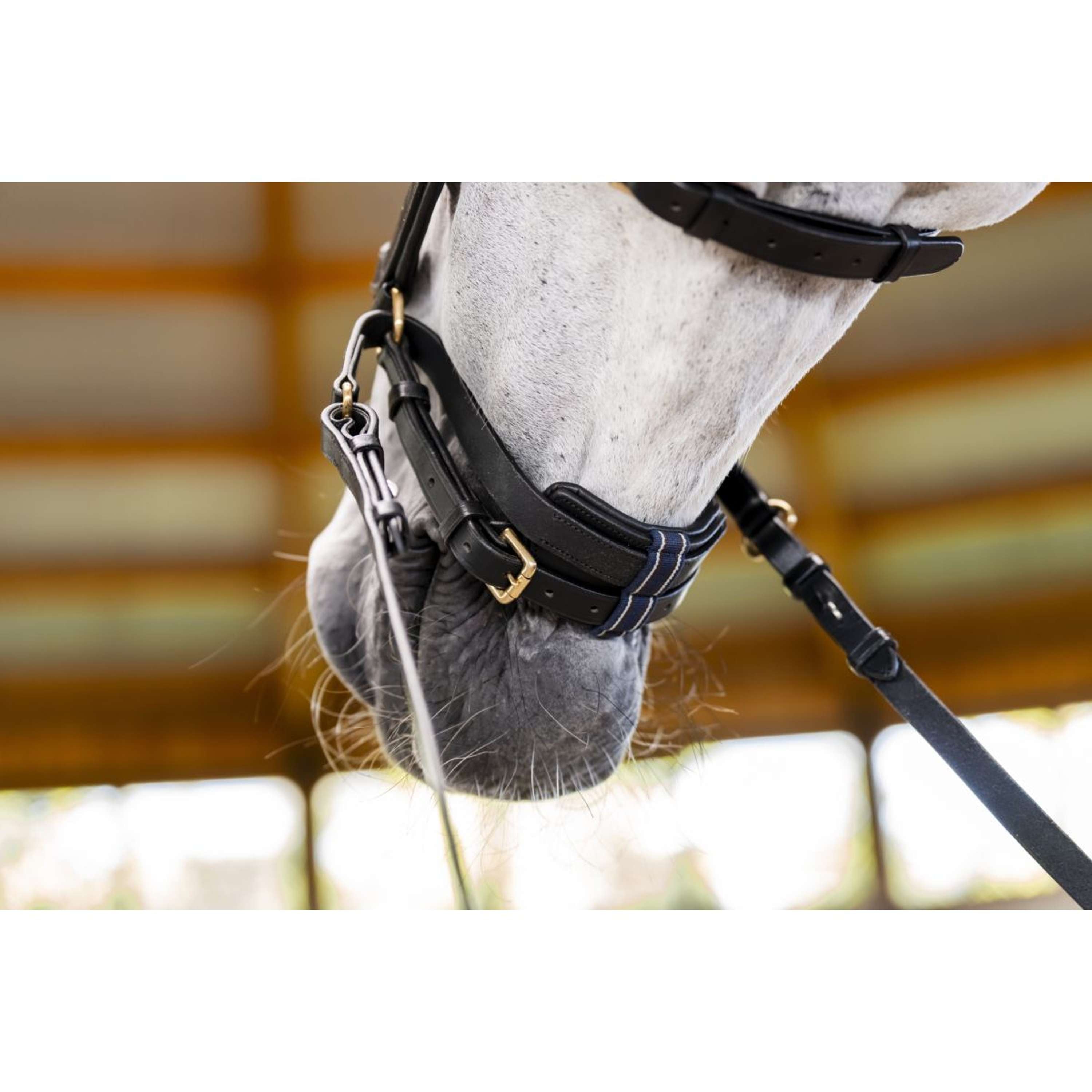 Horseware Micklem Multi Bridle Black
