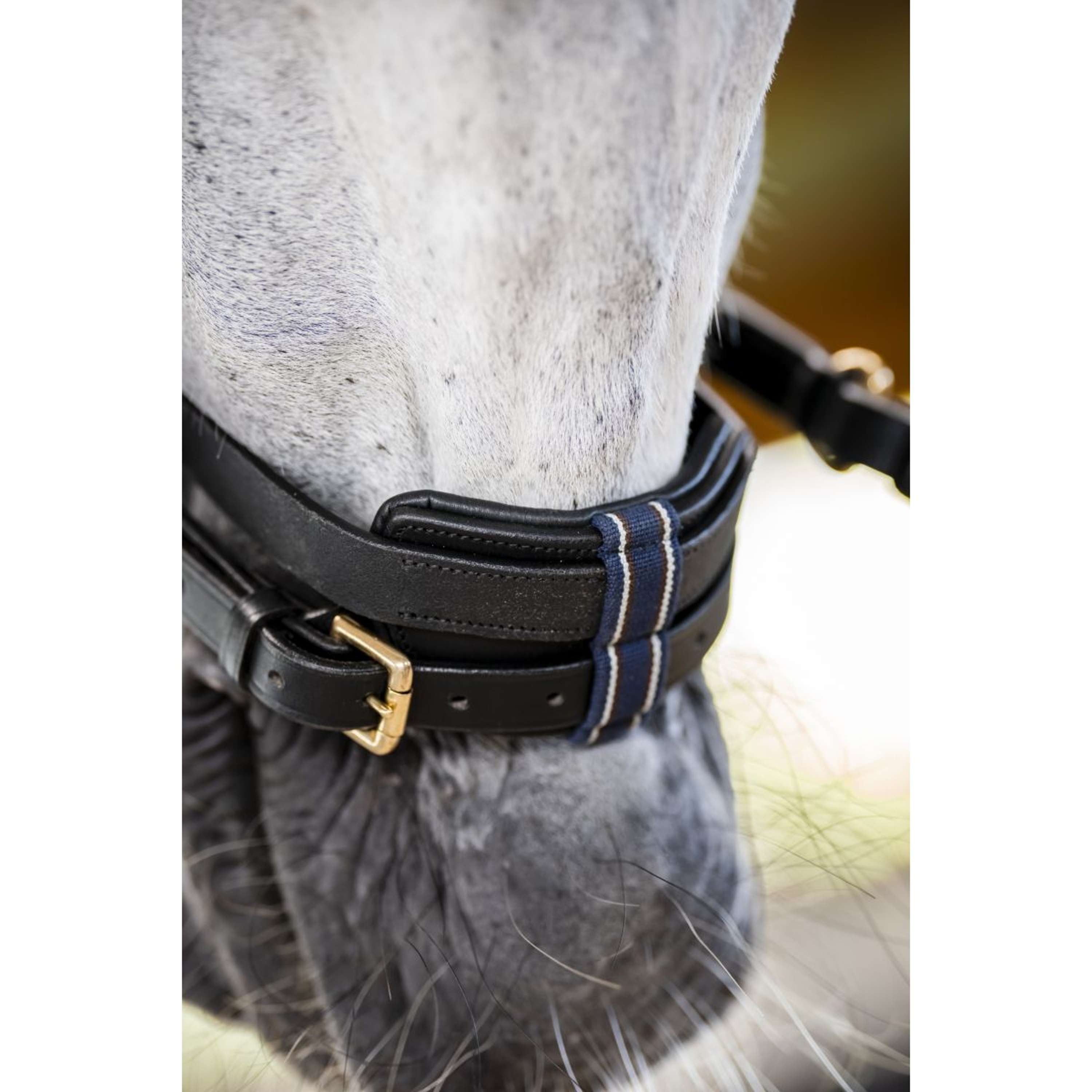 Horseware Micklem Multi Bridle Black