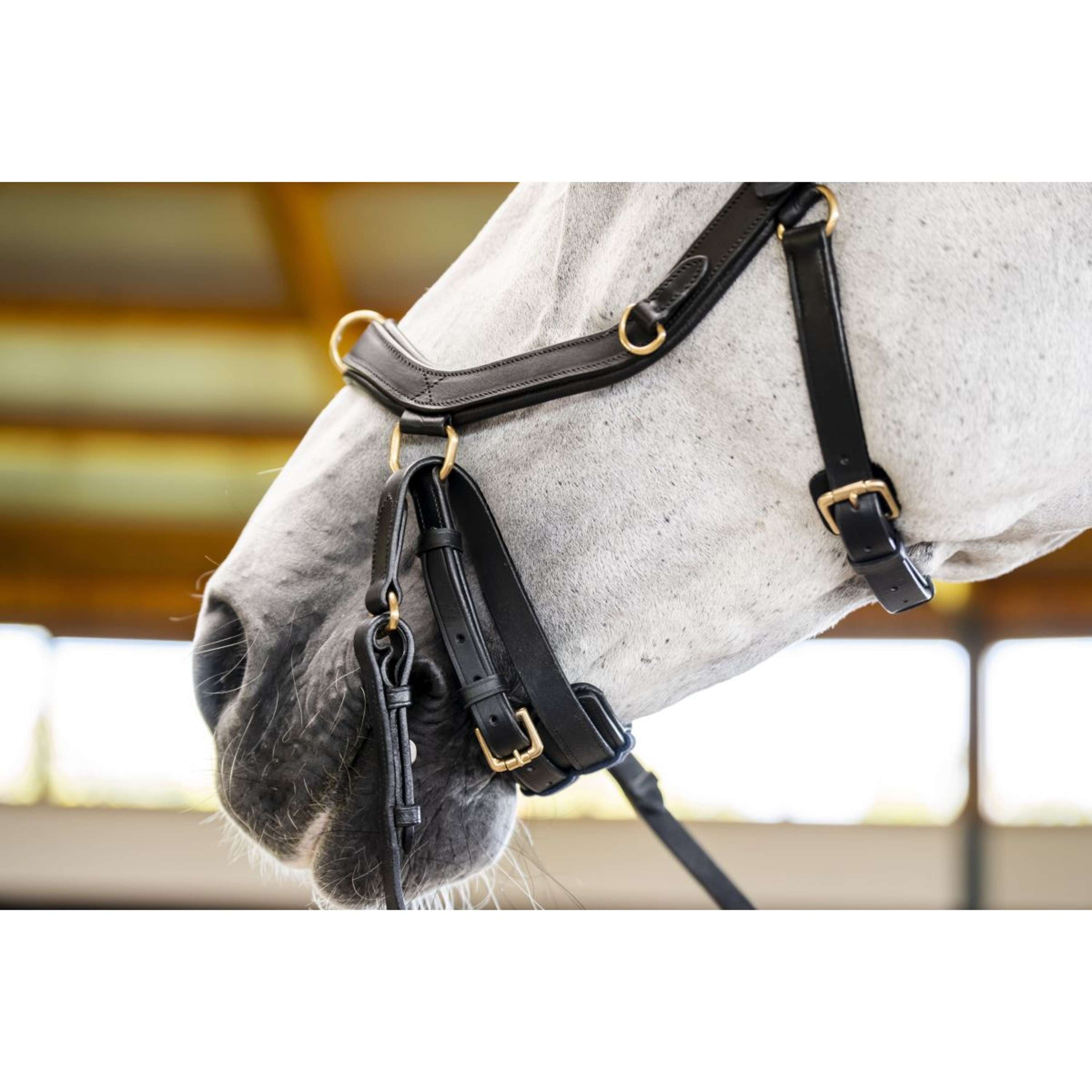 Horseware Micklem Multi Bridle Black