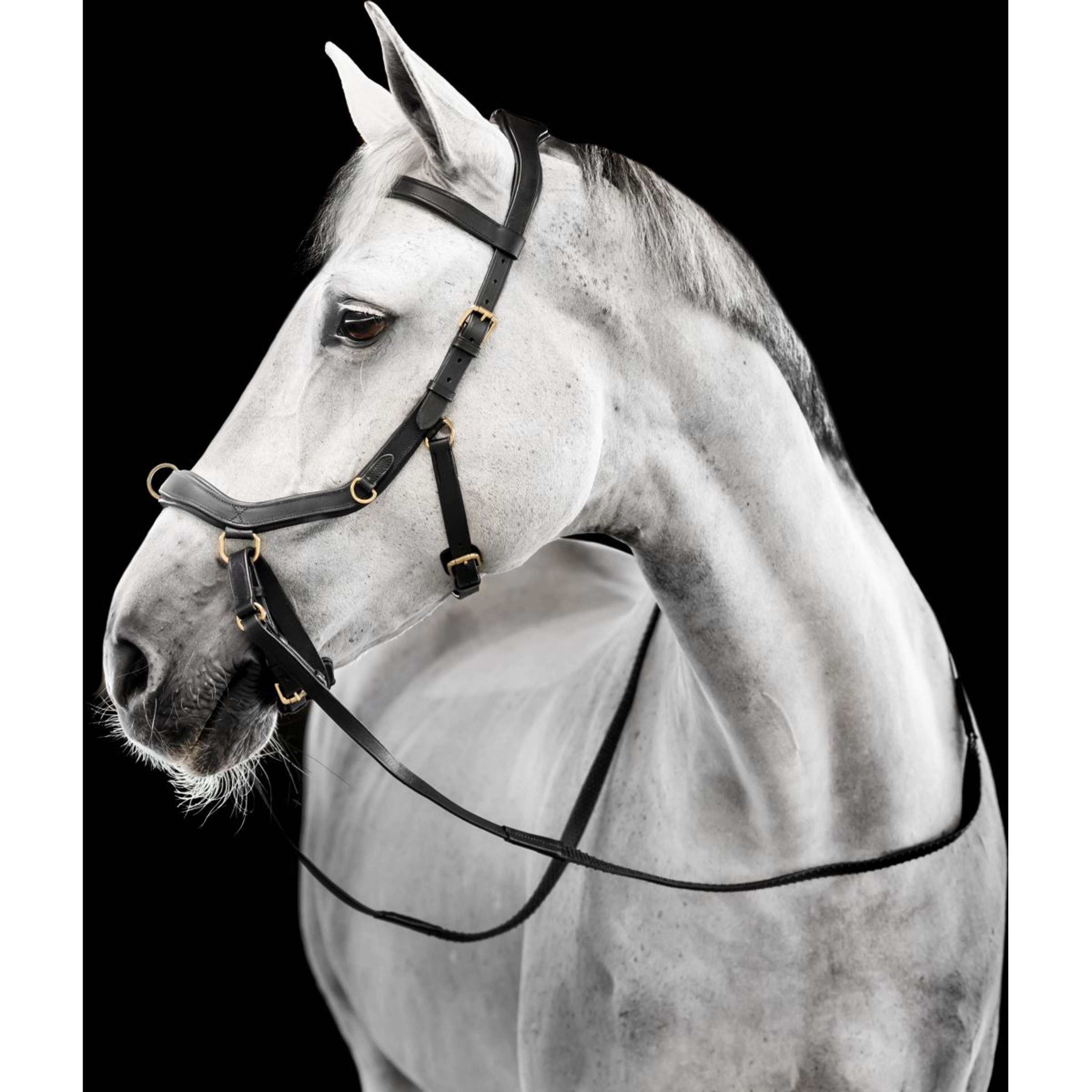 Horseware Micklem Multi Bridle Black