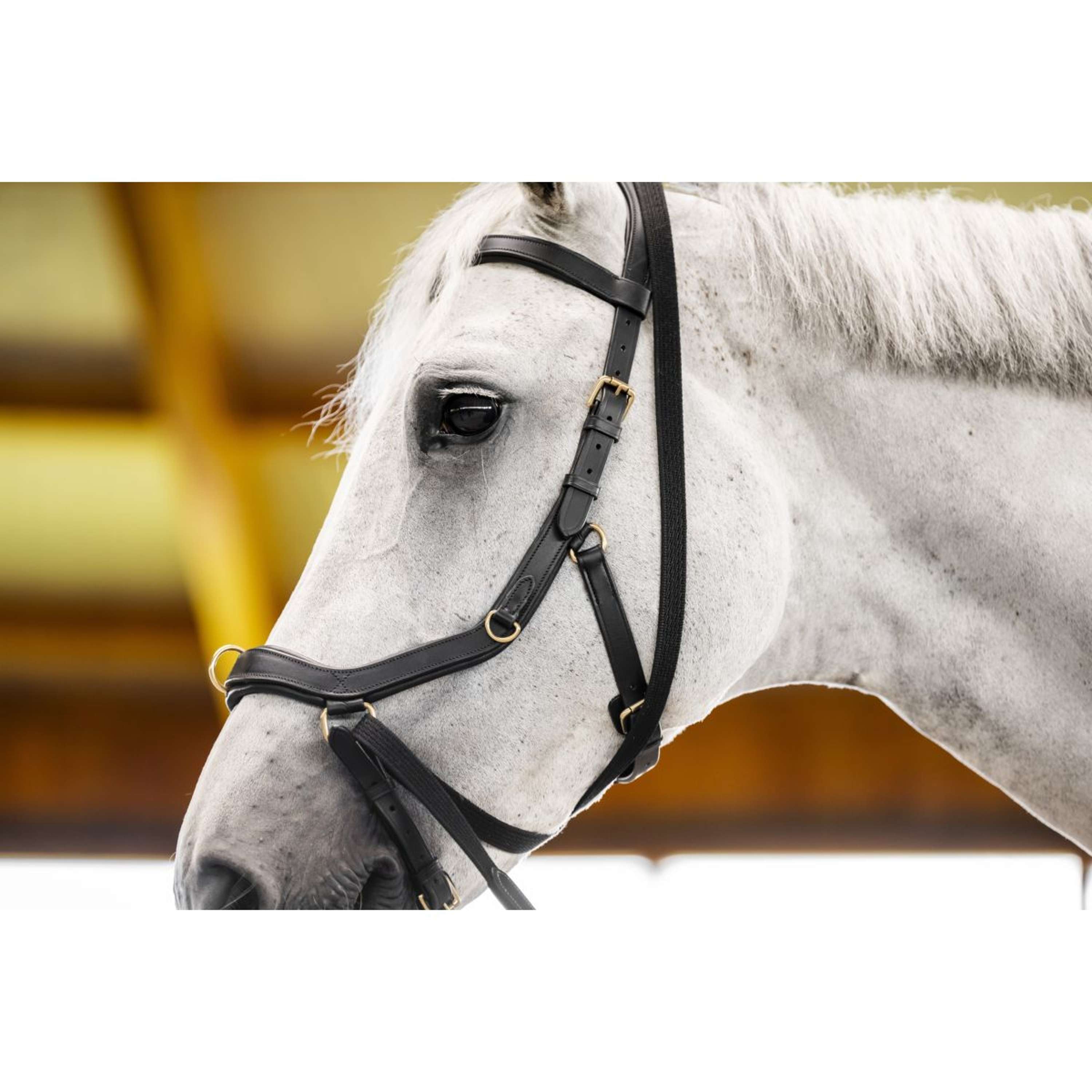 Horseware Micklem Multi Bridle Black