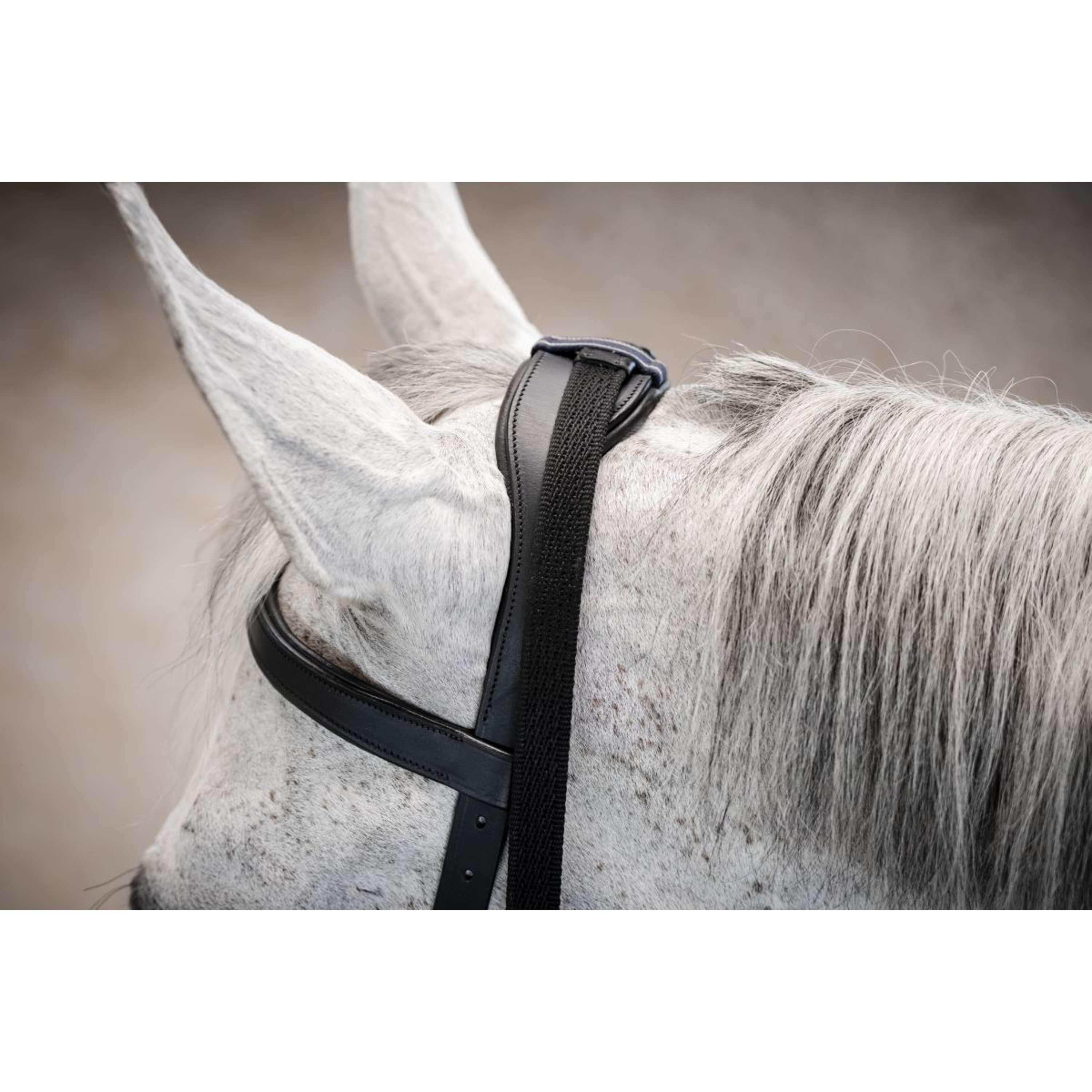 Horseware Micklem Multi Bridle Black