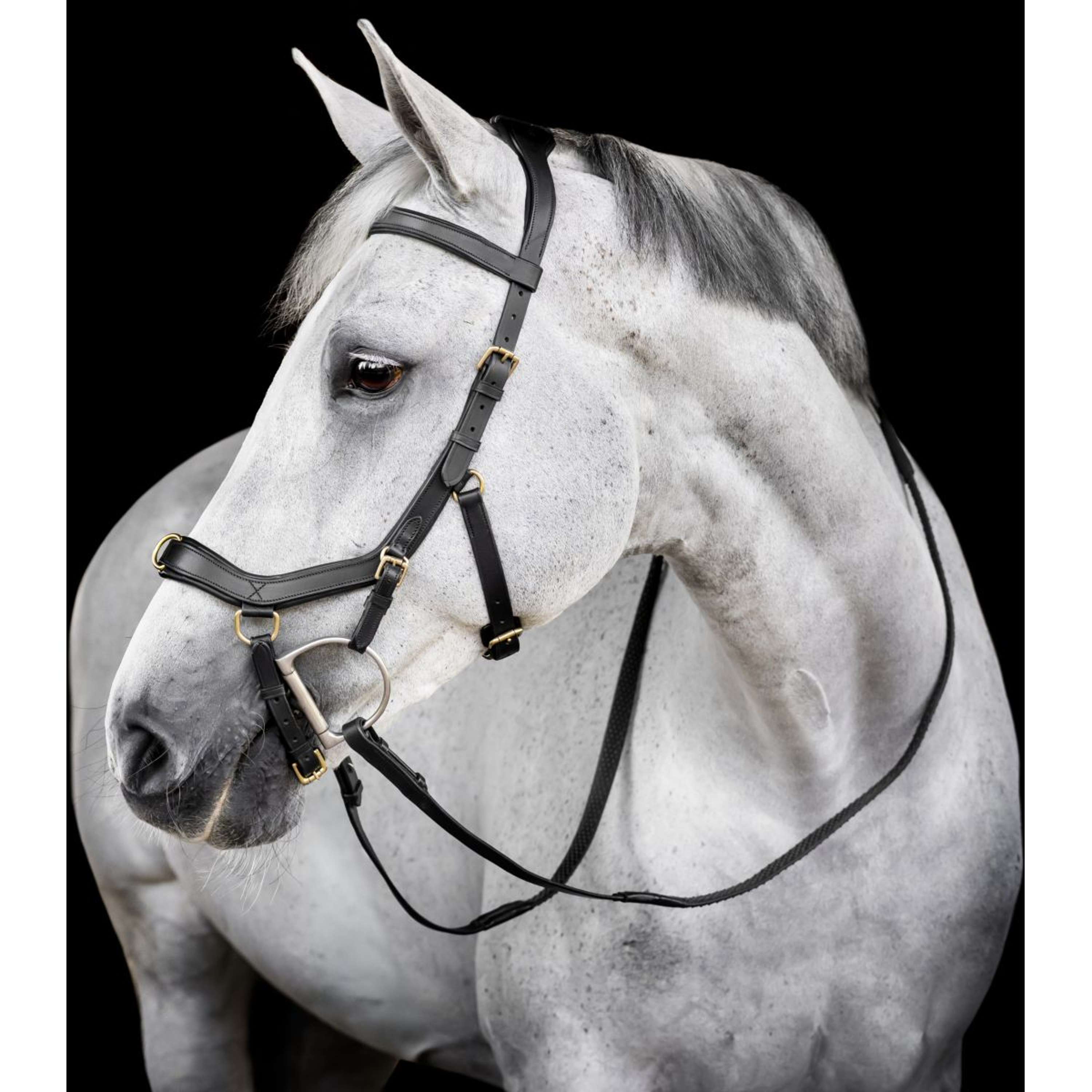 Horseware Micklem Multi Bridle Black