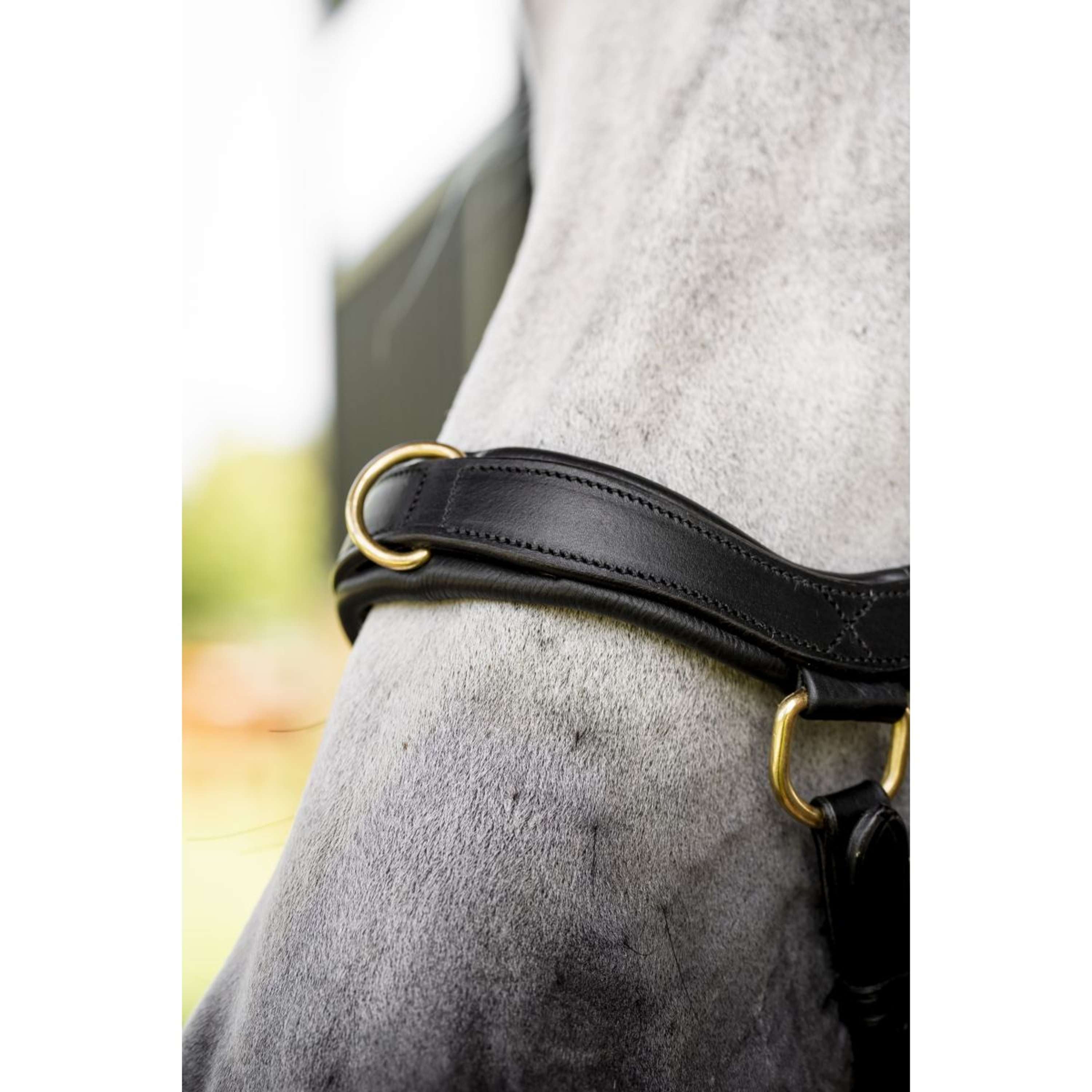 Horseware Micklem Multi Bridle Black