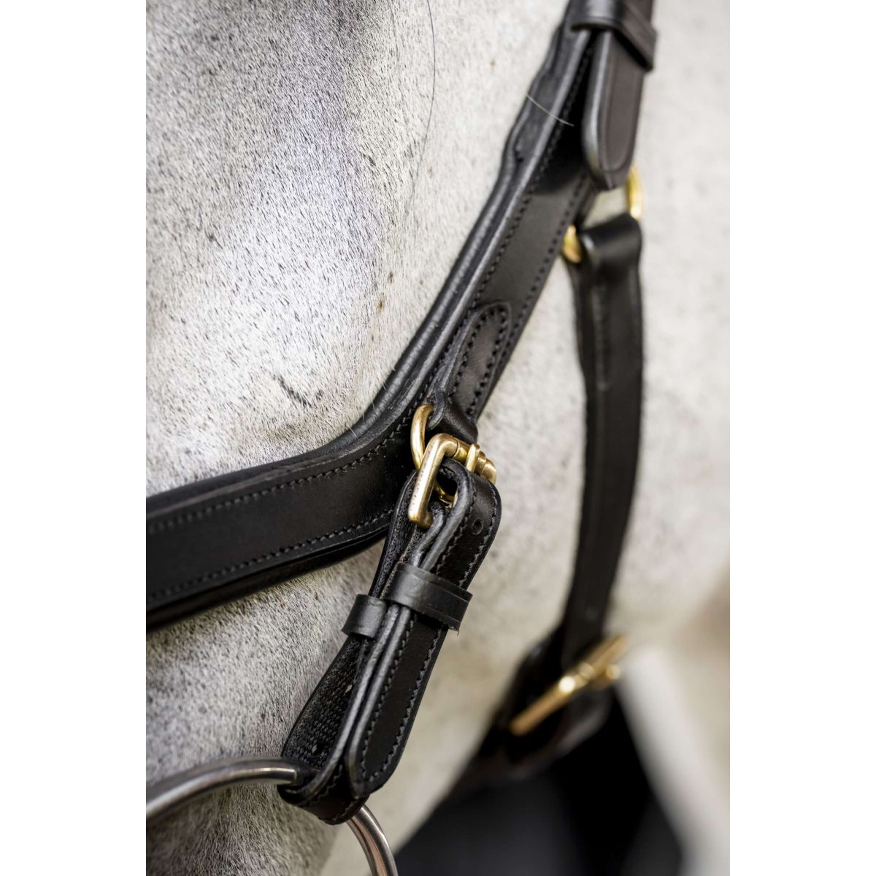 Horseware Micklem Multi Bridle Black