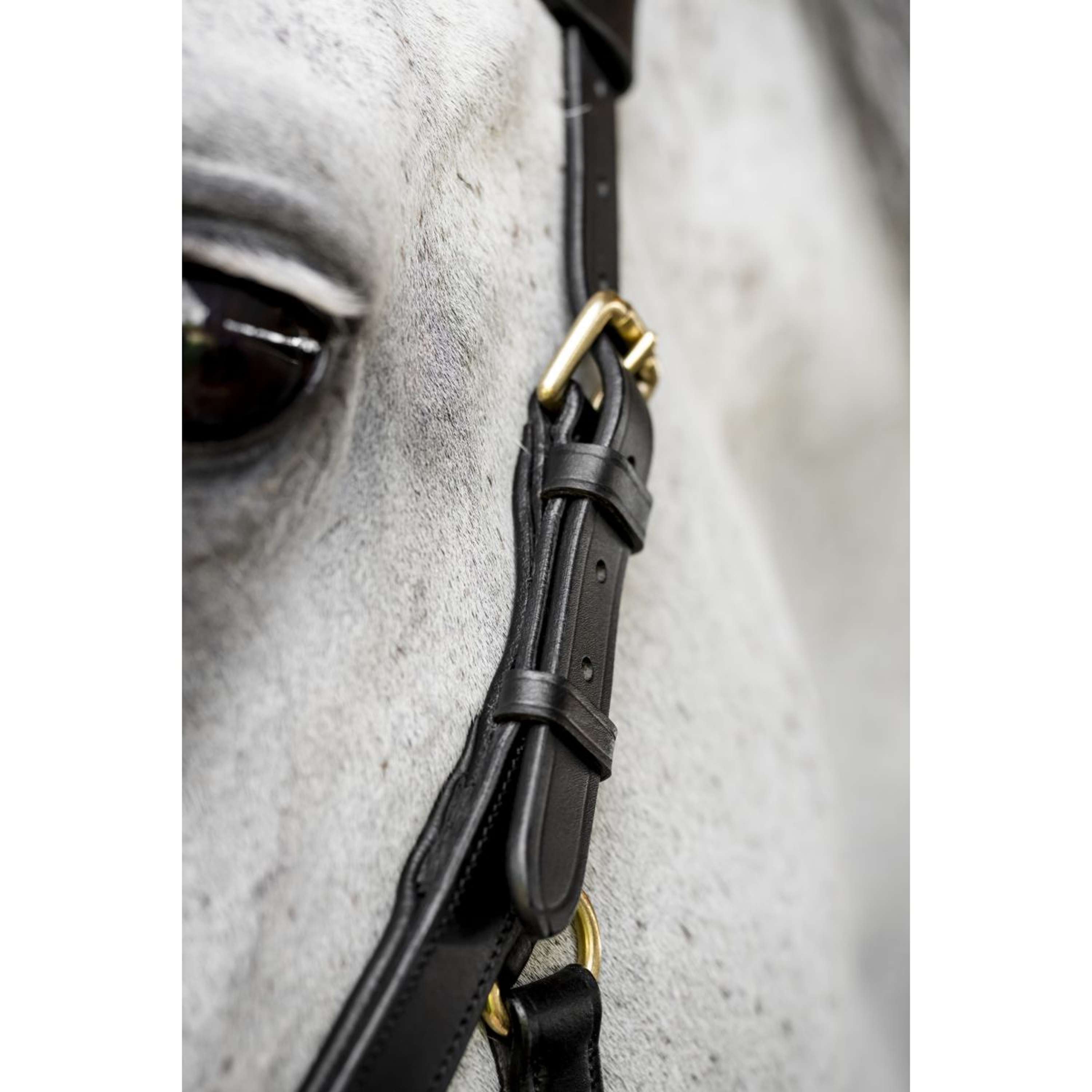Horseware Micklem Multi Bridle Black