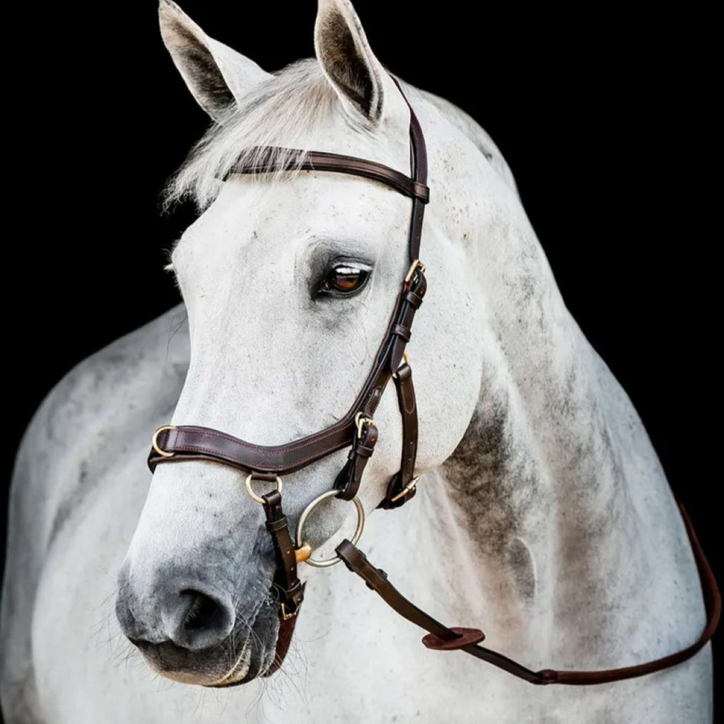 Horseware Micklem Multi Bridle New Dark Havana