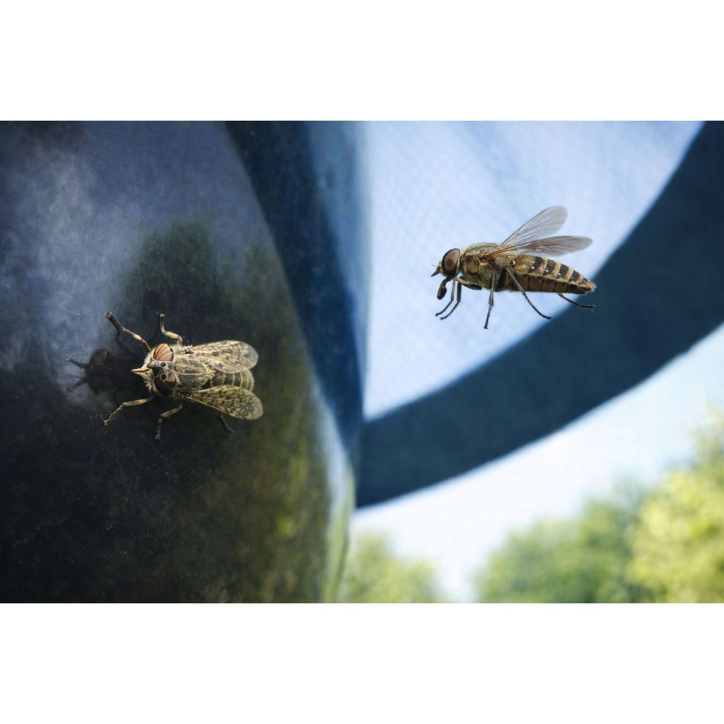 H-Trap Horse-fly Trap