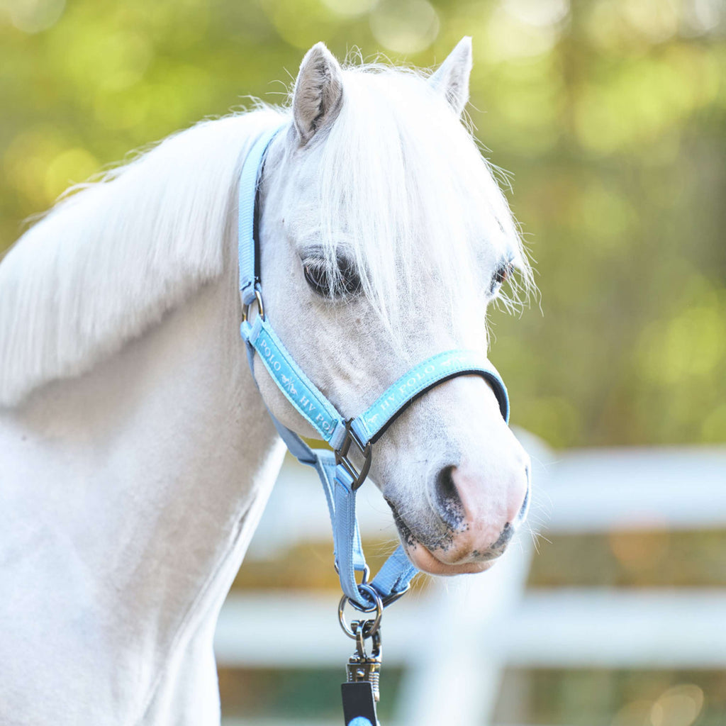 HV Polo Halter HVPNena Powder Blue