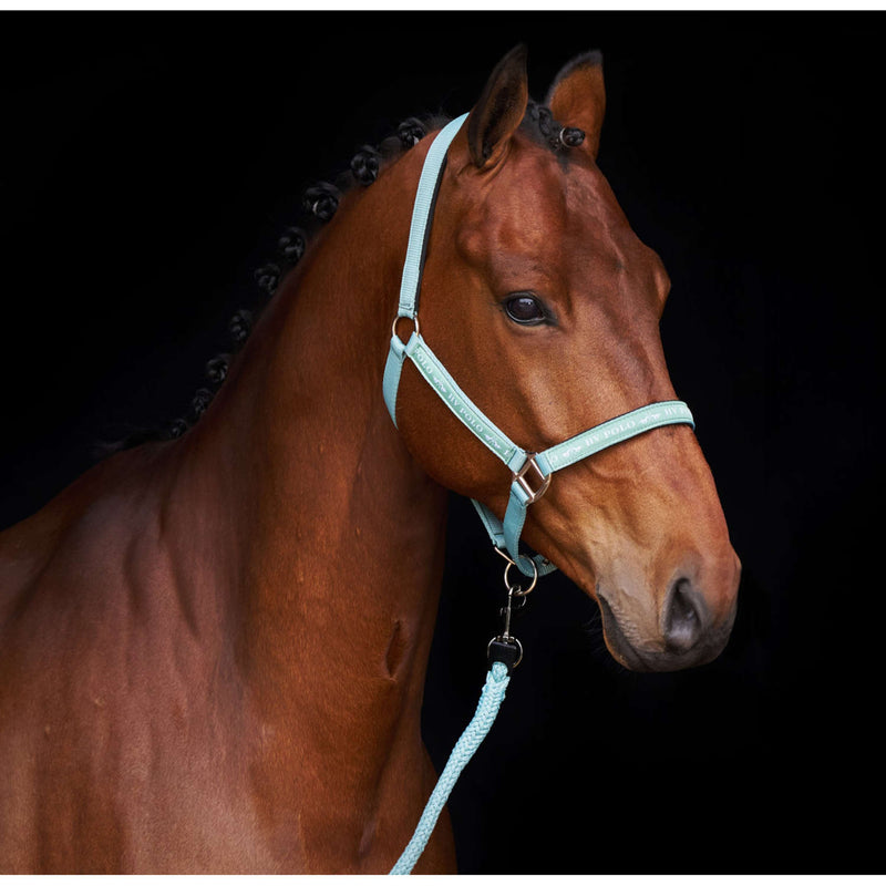 HV Polo Halter HVPNena Aqua Sky