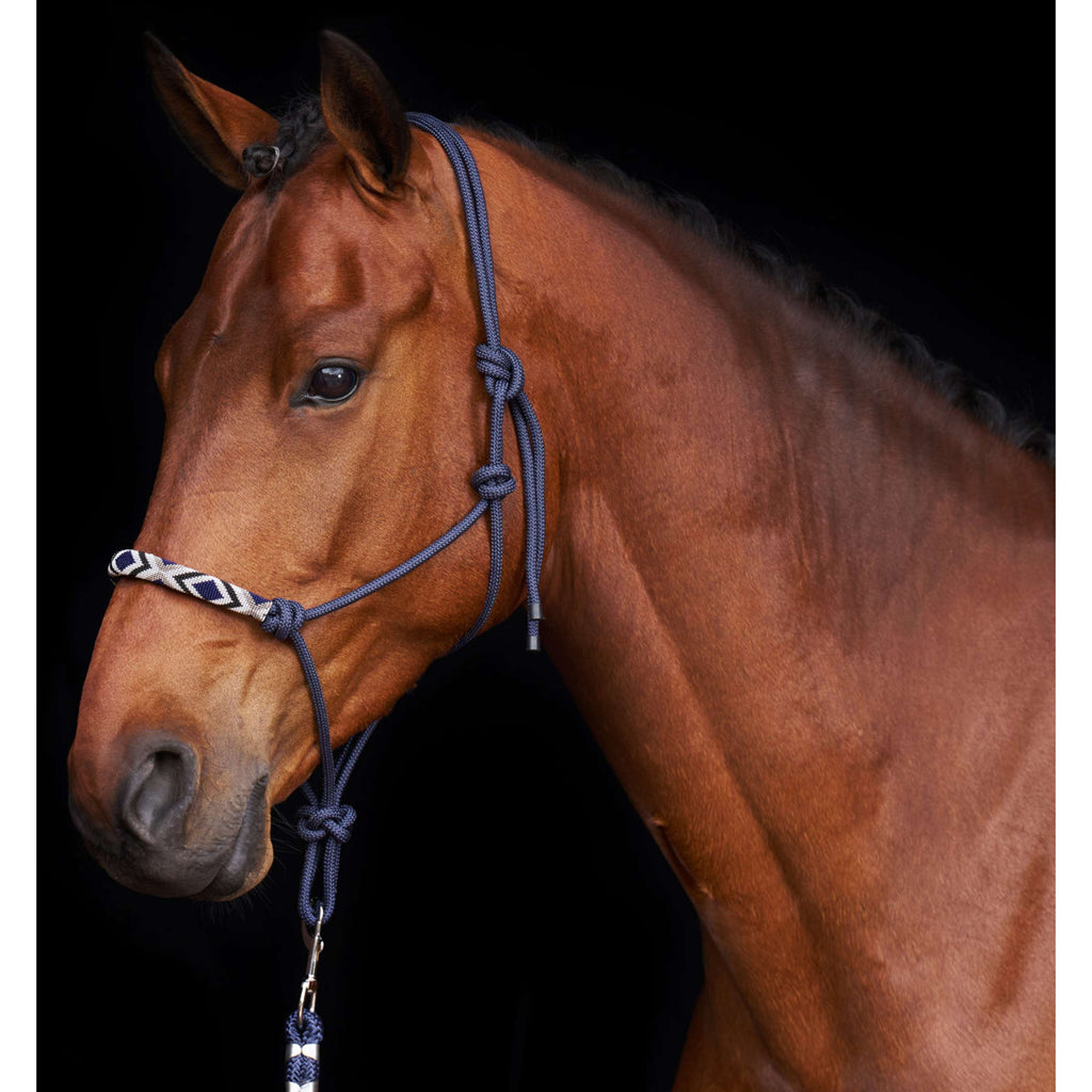 HV Polo Rope Halter HVPLamu Navy