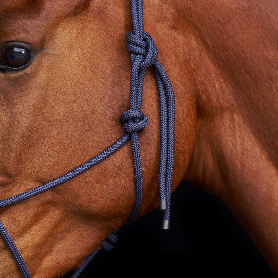 HV Polo Rope Halter HVPLamu Navy