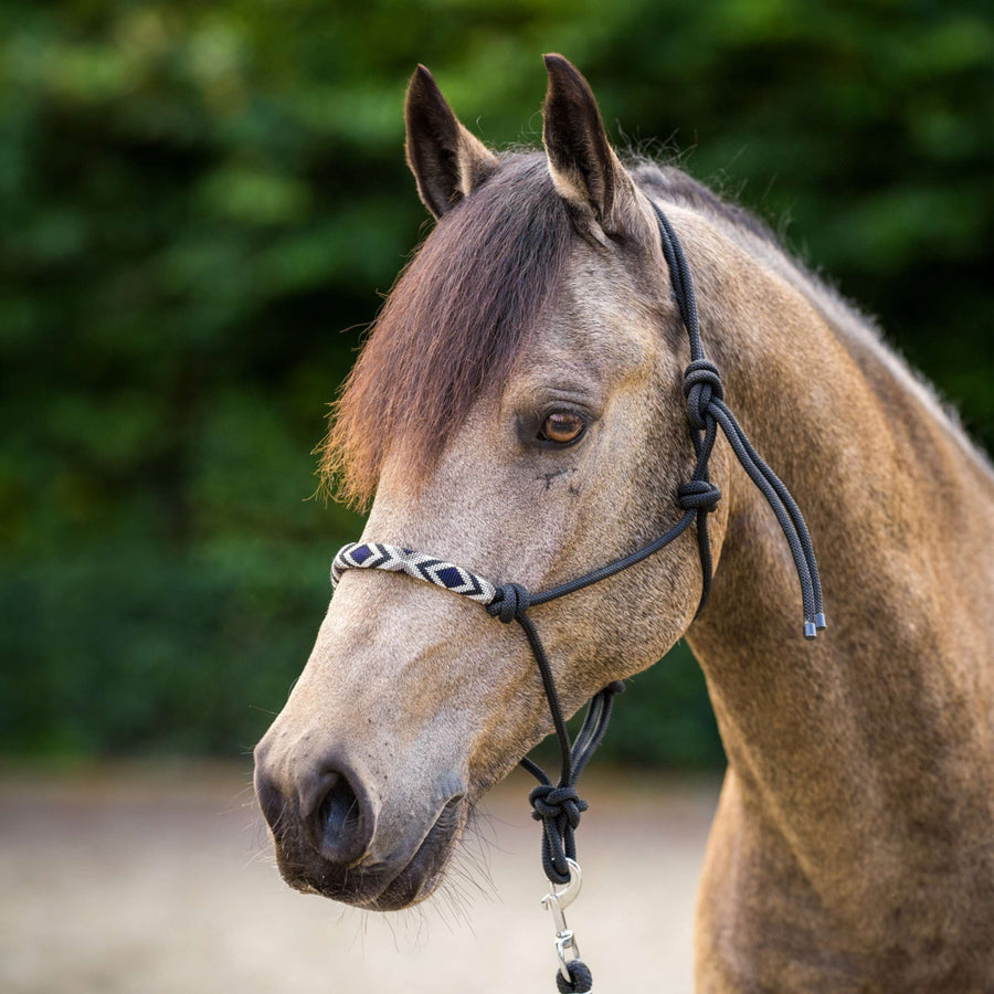 HV Polo Rope Halter HVPLamu Black