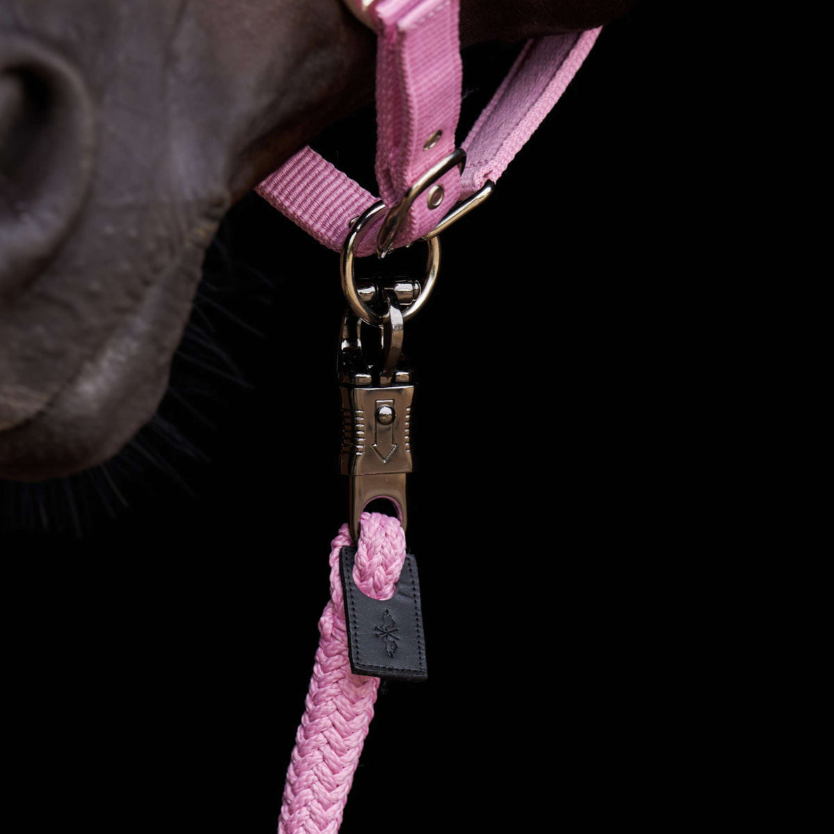HV Polo Lead Rope HVPNena with a Panic Snap Pretty Pink