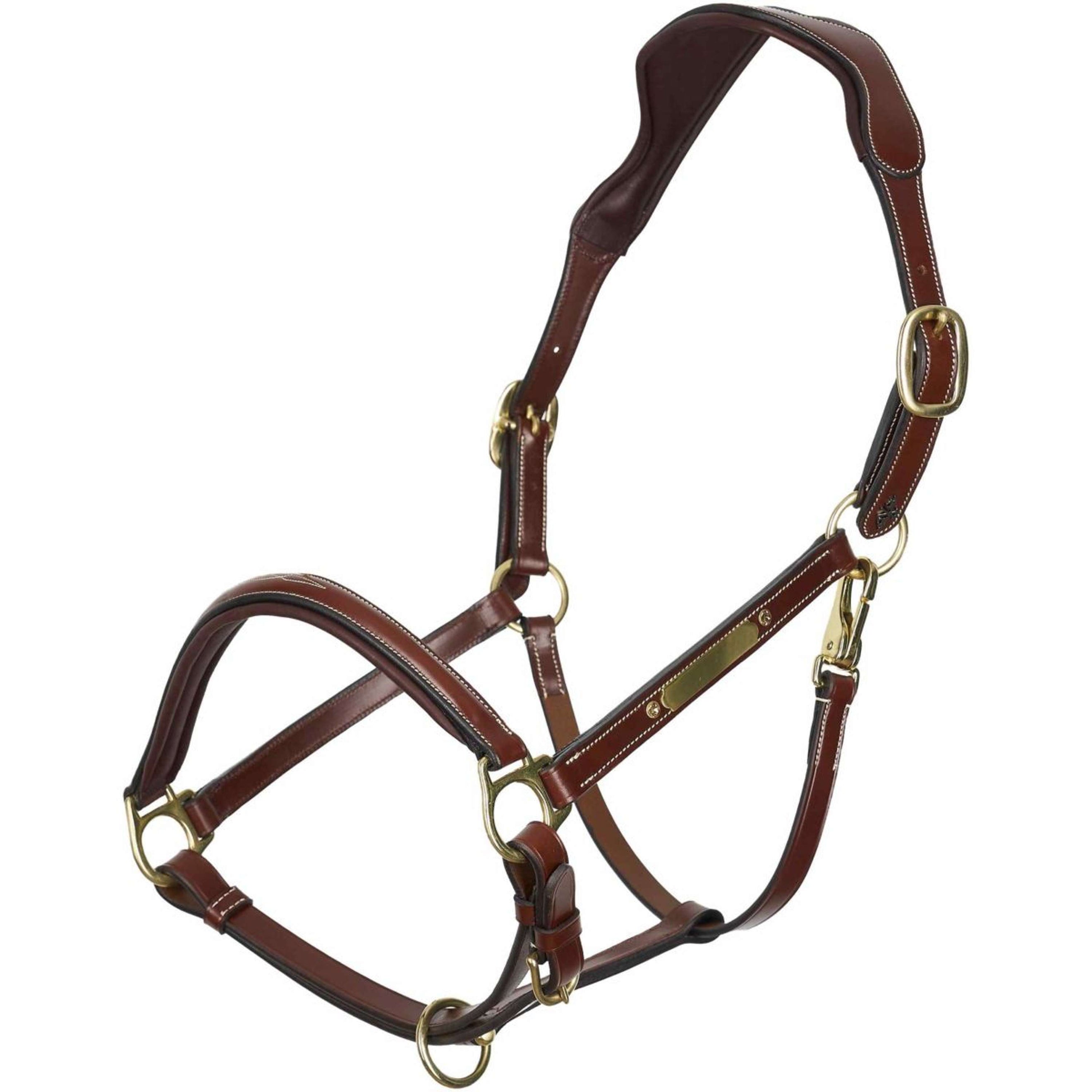 HV Polo Halter Legacy