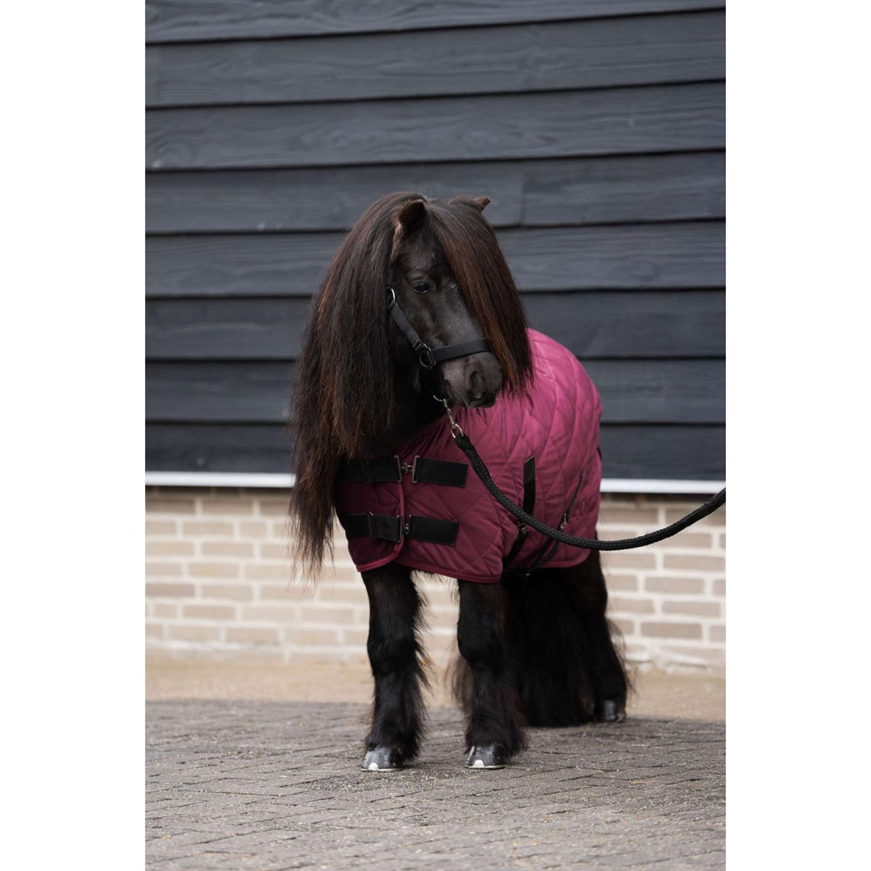 HV Polo Stable Rug HVPSacha Wine