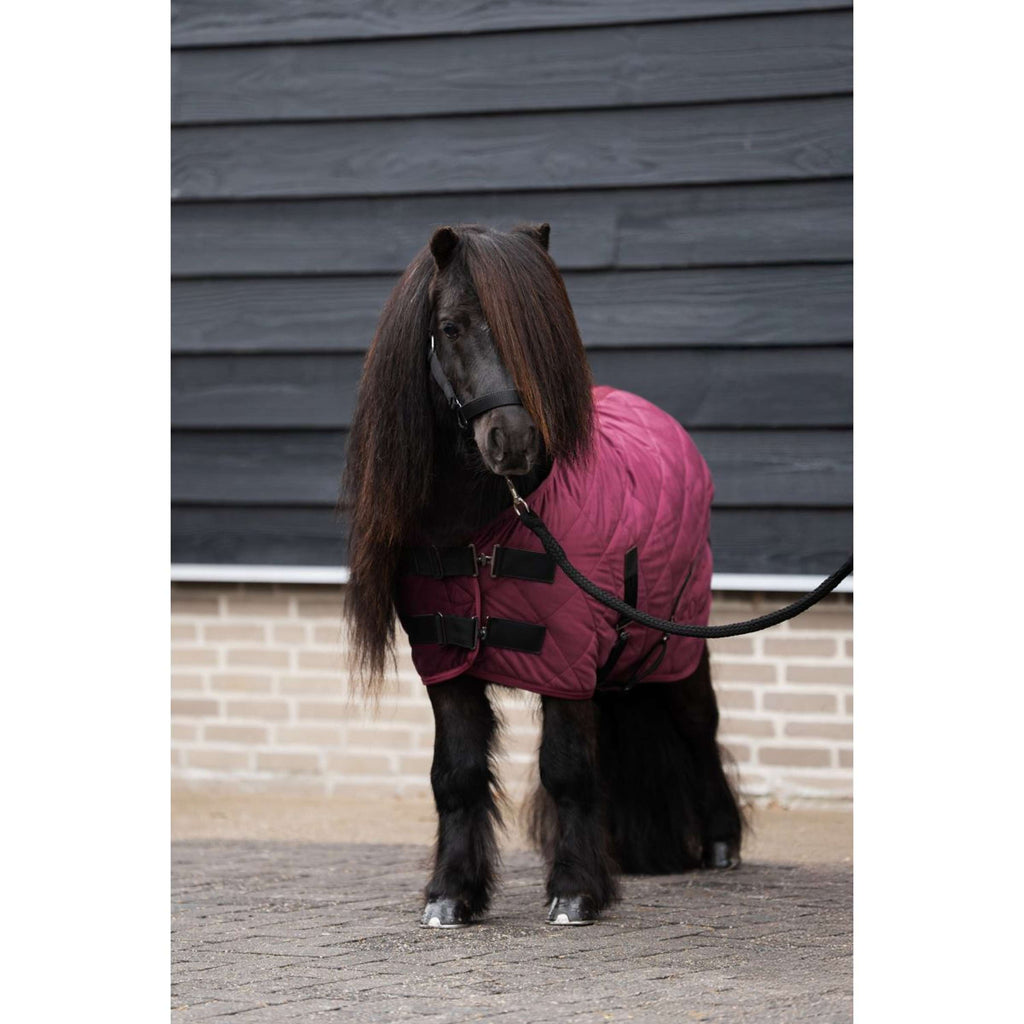 HV Polo Stable Rug HVPSacha Wine