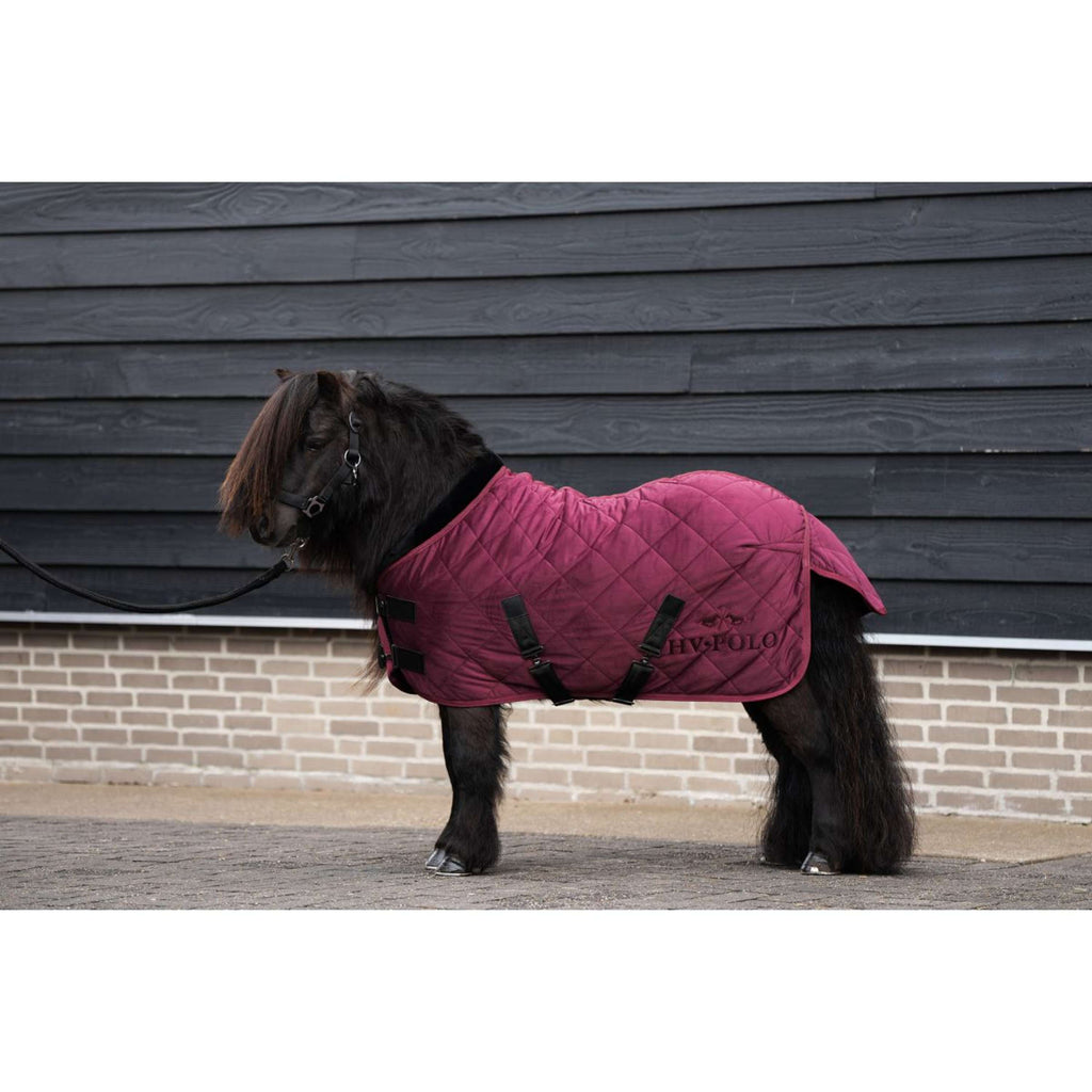 HV Polo Stable Rug HVPSacha Wine