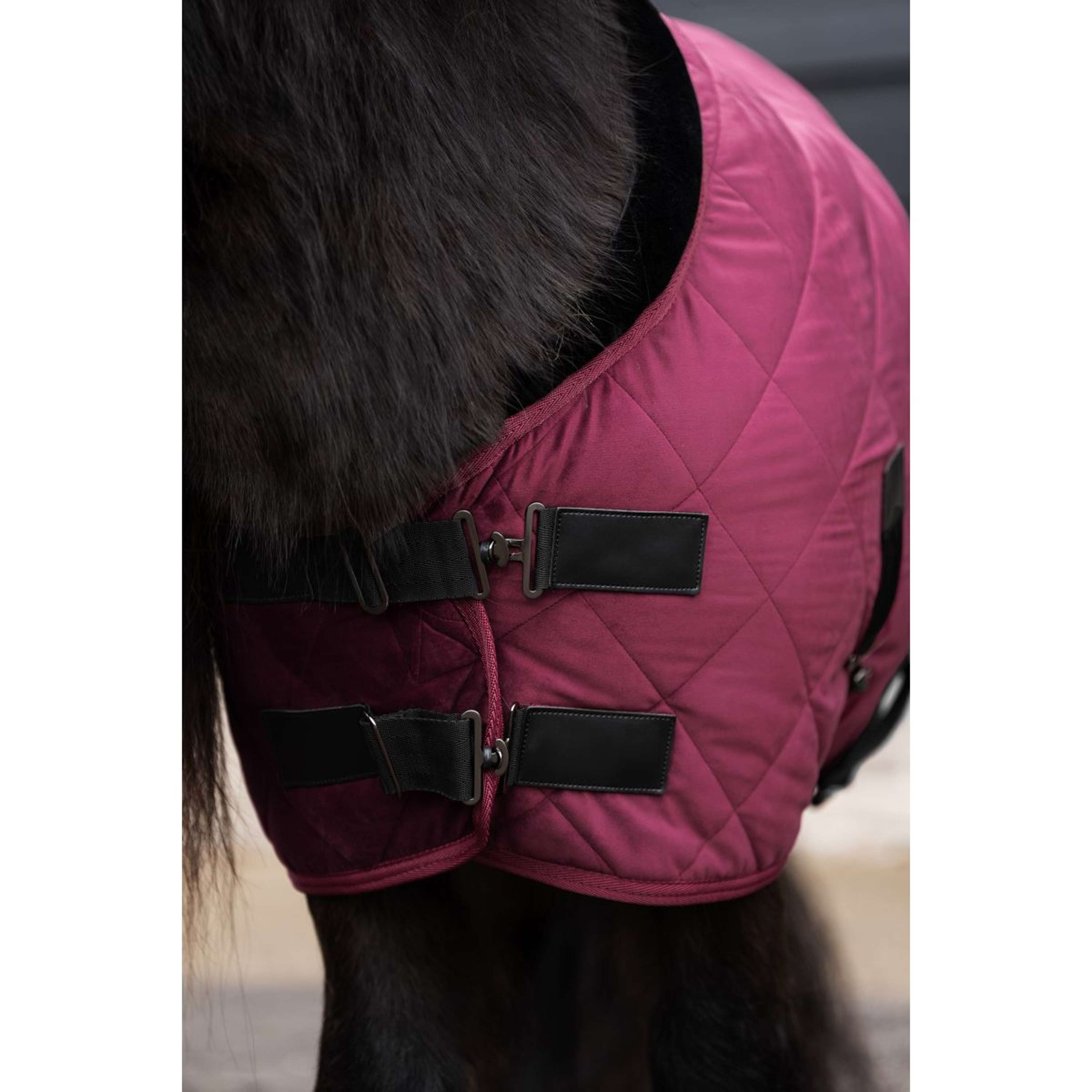 HV Polo Stable Rug HVPSacha Wine