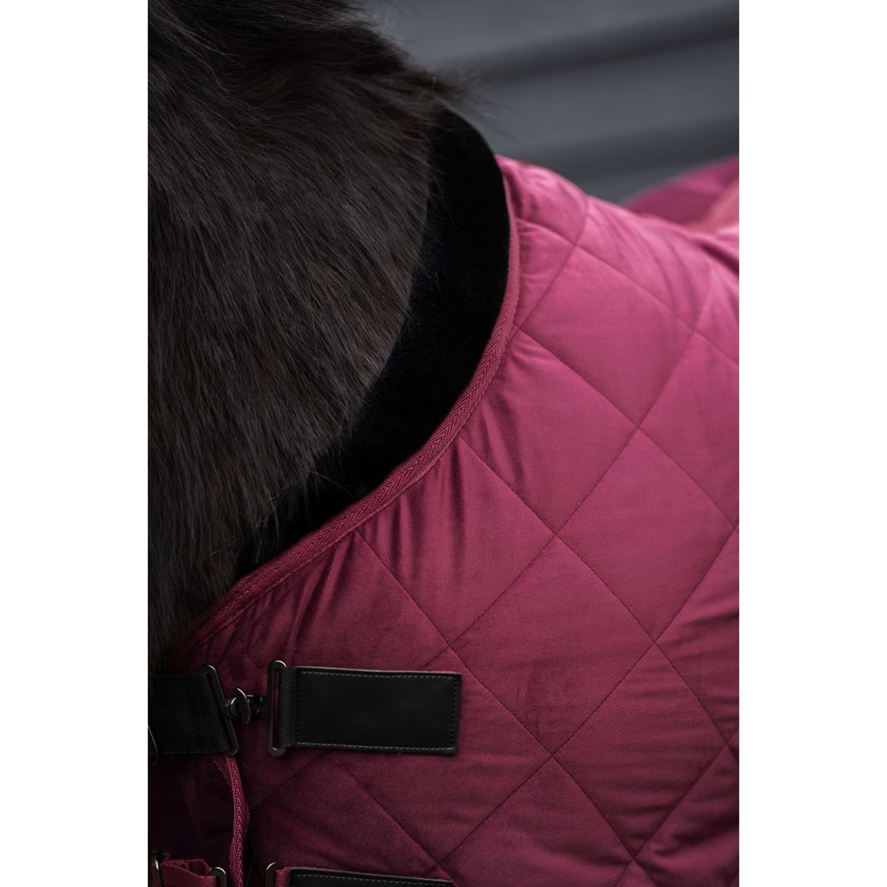 HV Polo Stable Rug HVPSacha Wine