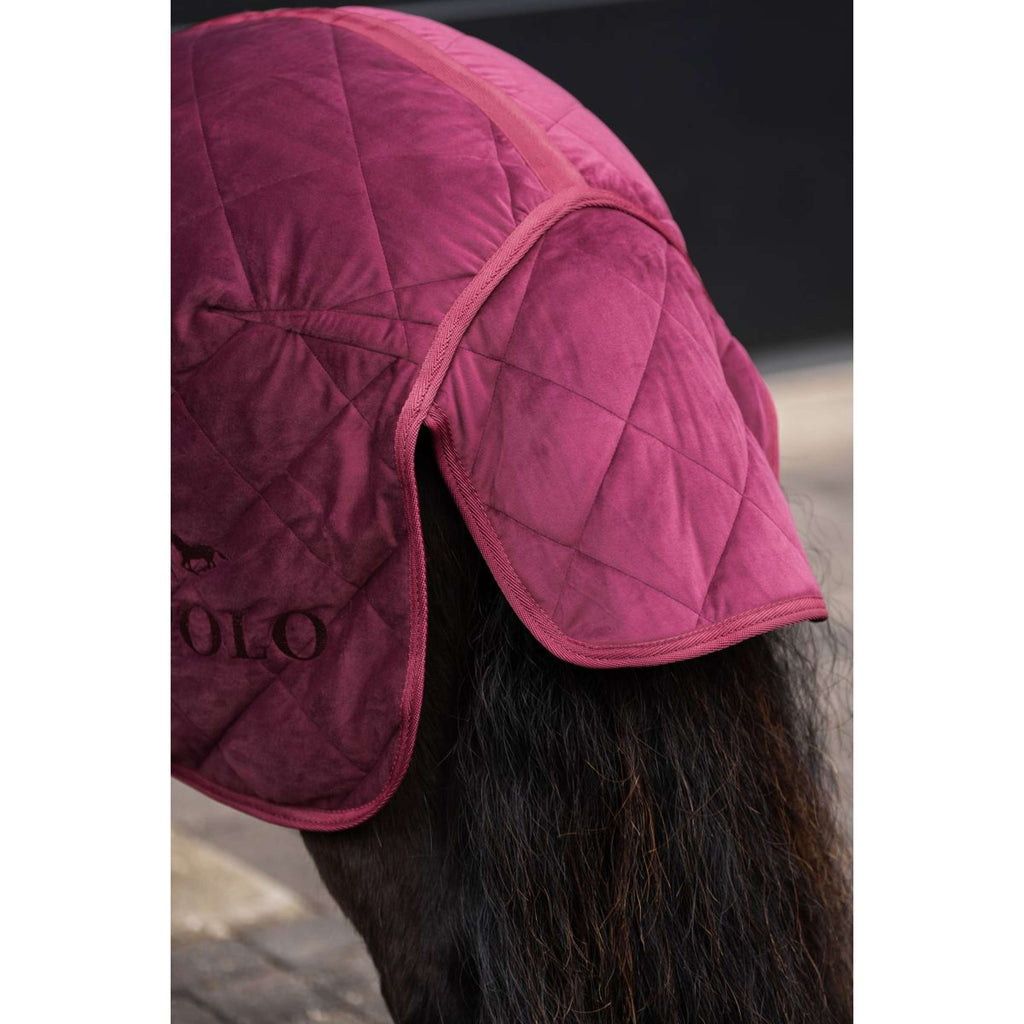 HV Polo Stable Rug HVPSacha Wine