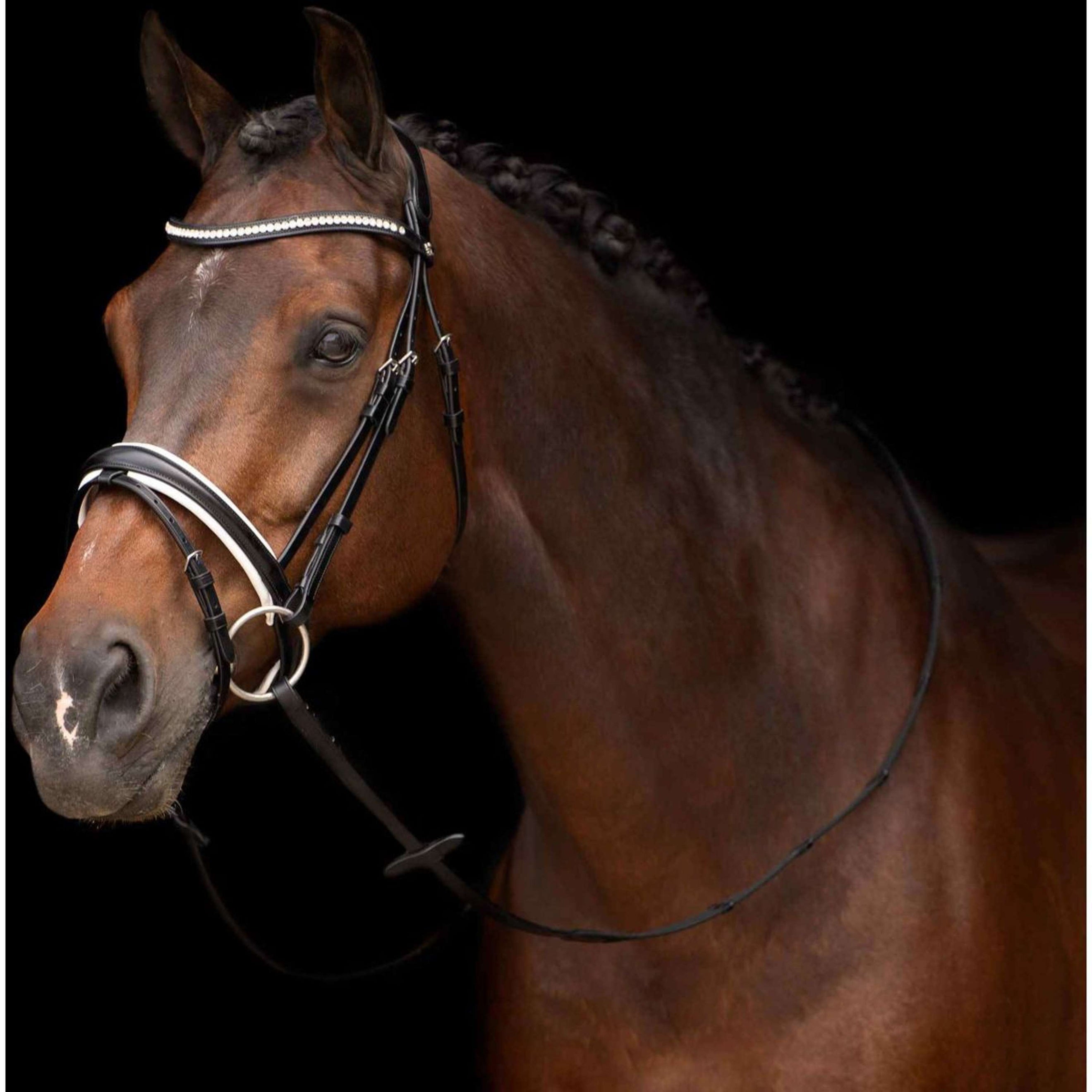 HV Polo Bridle Legacy Deluxe