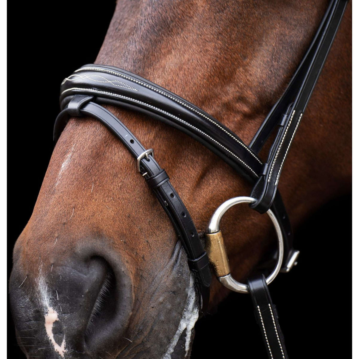 HV Polo Bridle Legacy Black