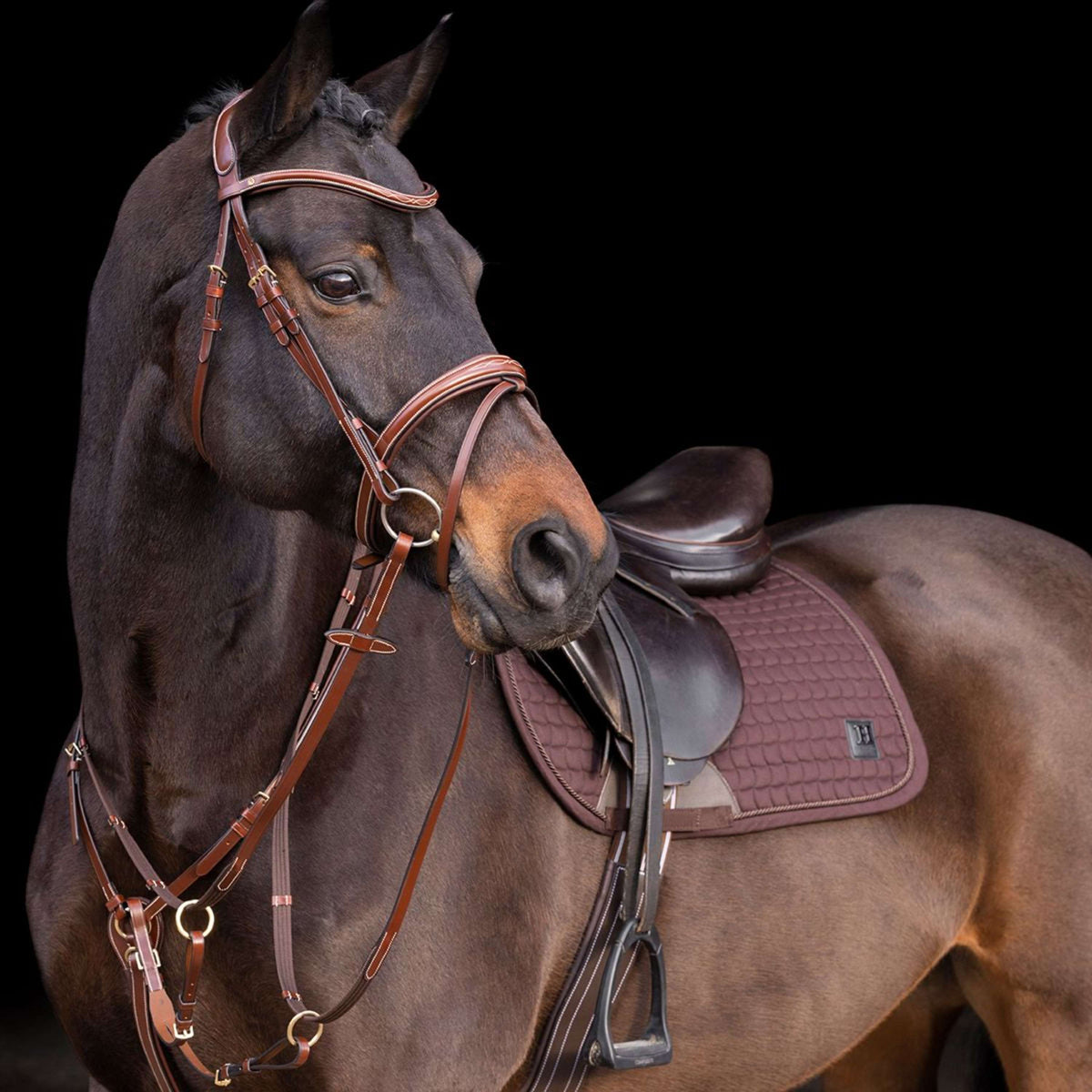 HV Polo Martingale Legacy Brown