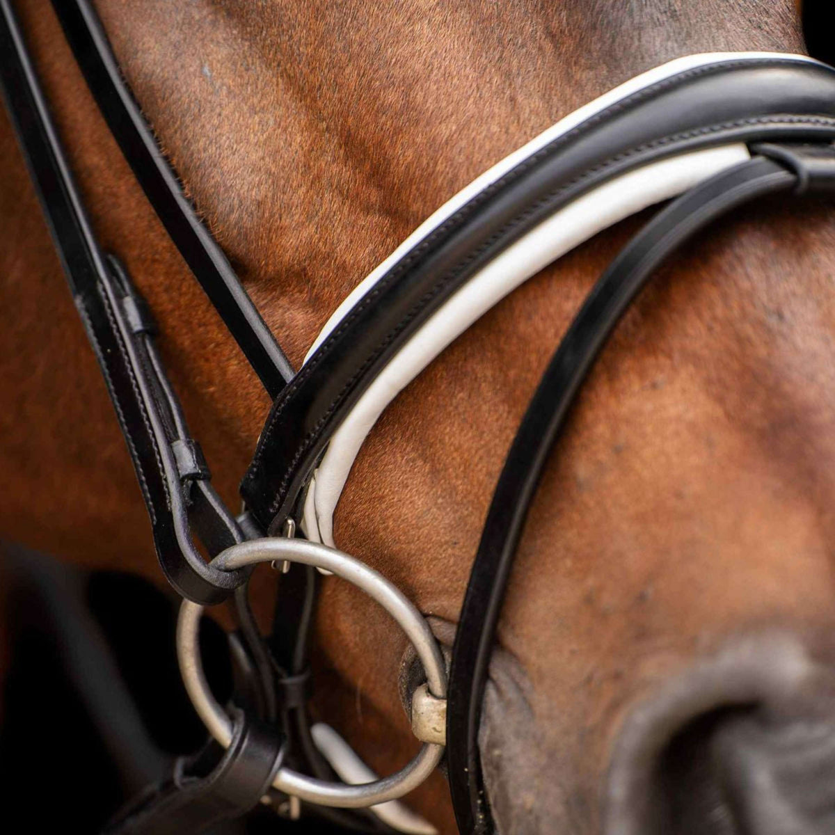 HV Polo Bridle Legacy Deluxe Black/White