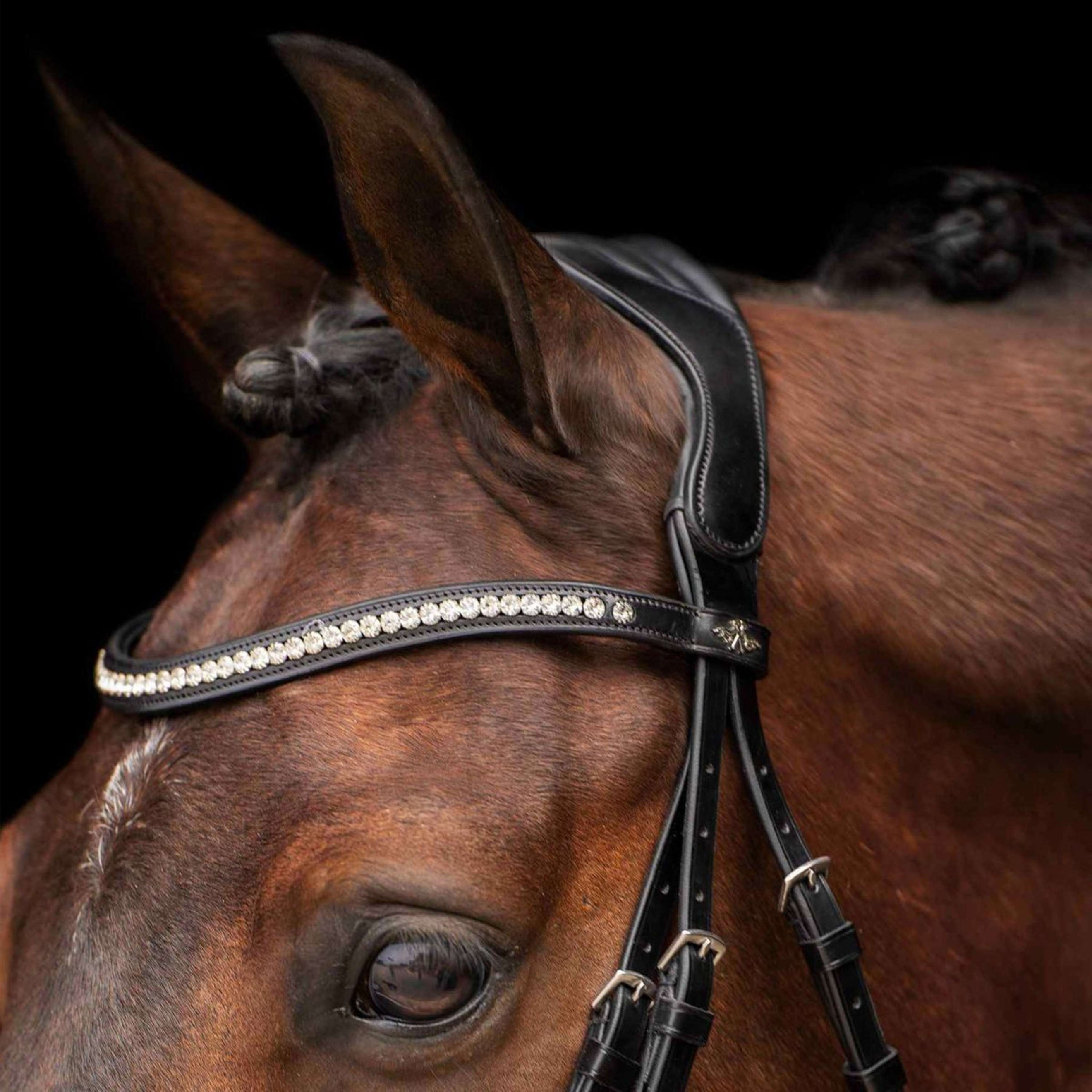 HV Polo Bridle Legacy Deluxe