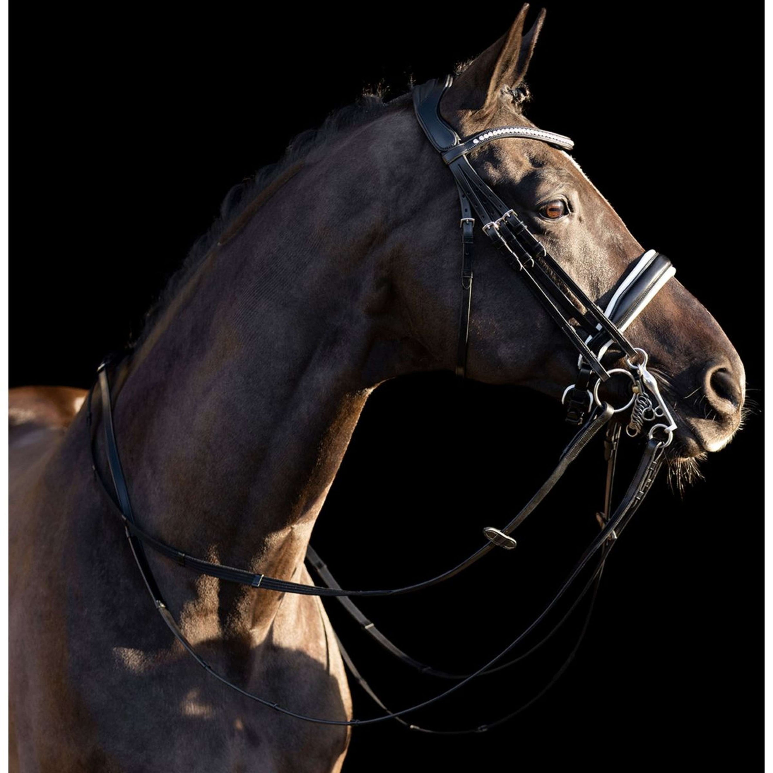 HV Polo Double Bridle Legacy Deluxe