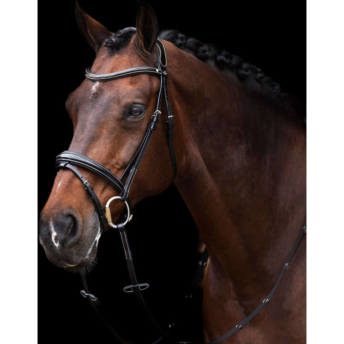 HV Polo Bridle Legacy Black