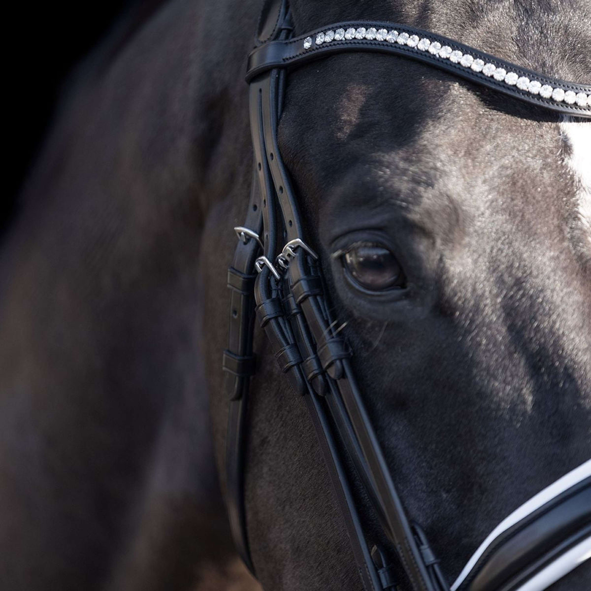 HV Polo Double Bridle Legacy Deluxe Black/White