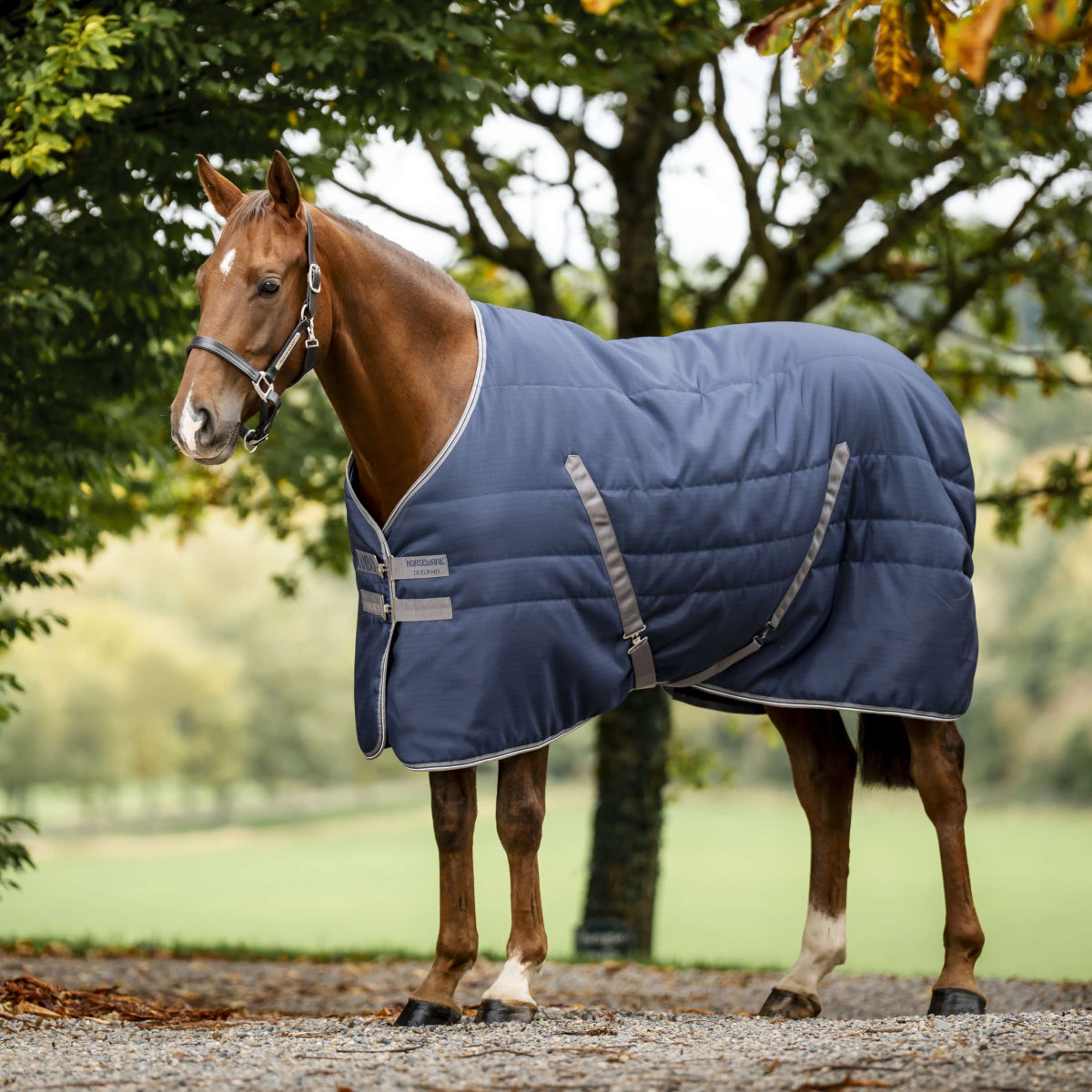 Rambo Stable Rug 100g Navy/Thunderstorm Grey/Silver